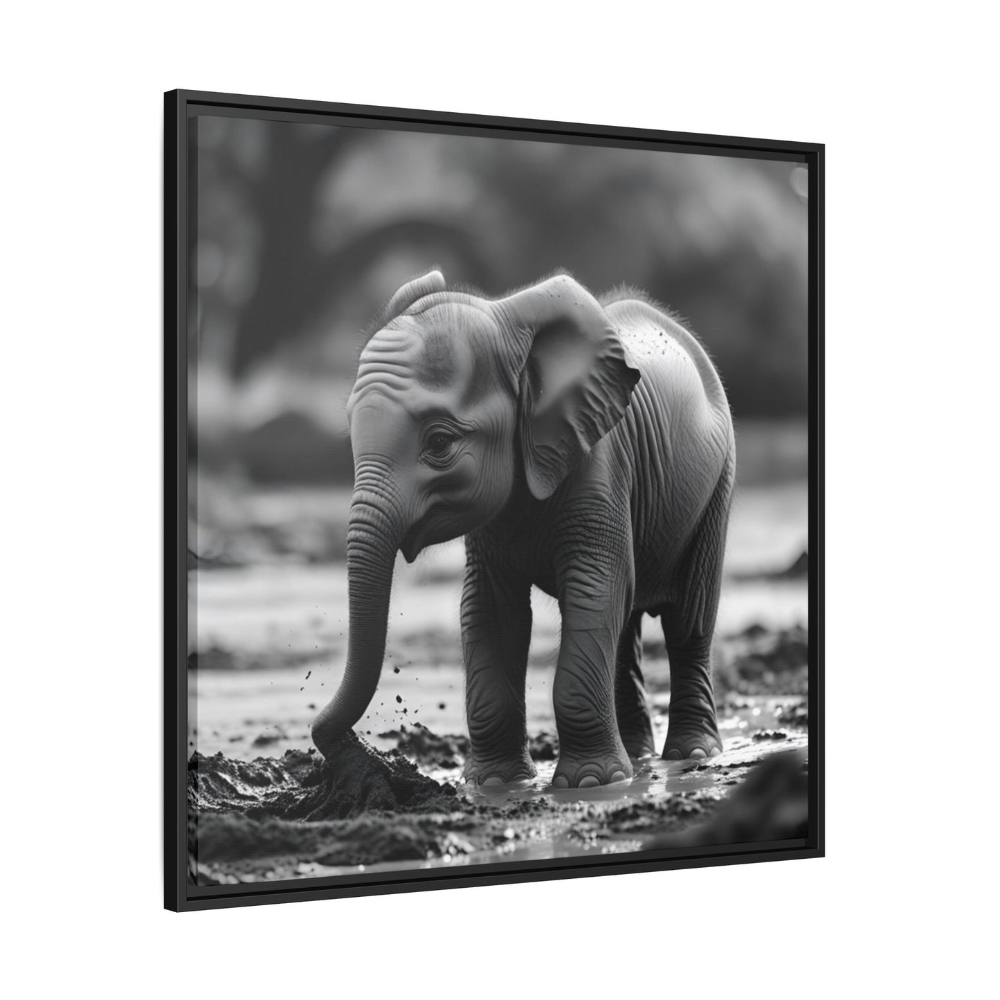 Black and white photo of a baby elephant playing in water with a blurred natural background