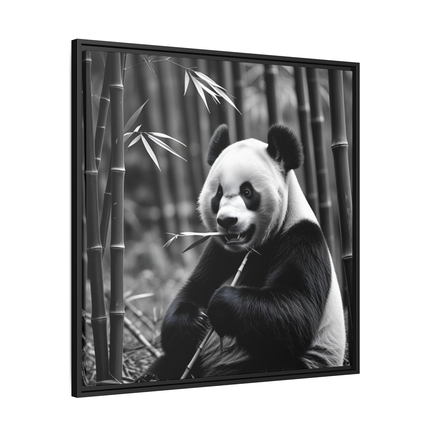 Framed black and white photograph of a panda bear holding bamboo