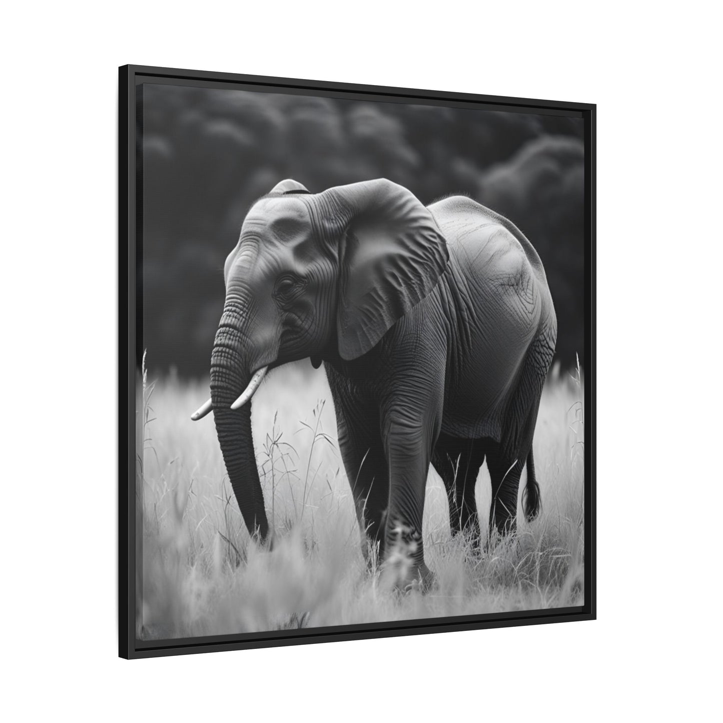 Black and white framed artwork of an elephant in a natural setting
