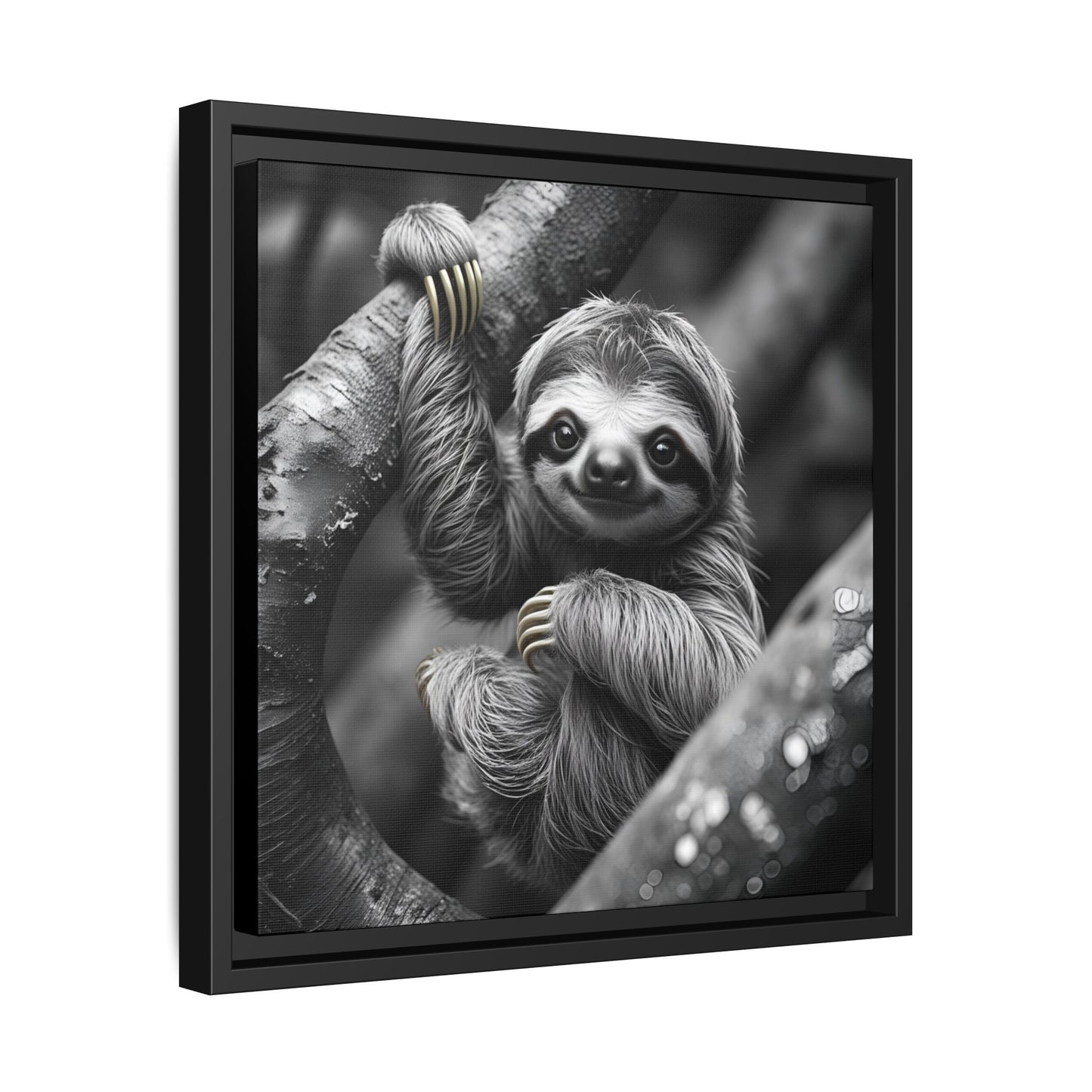 Framed black and white photograph of a sloth hanging from a branch