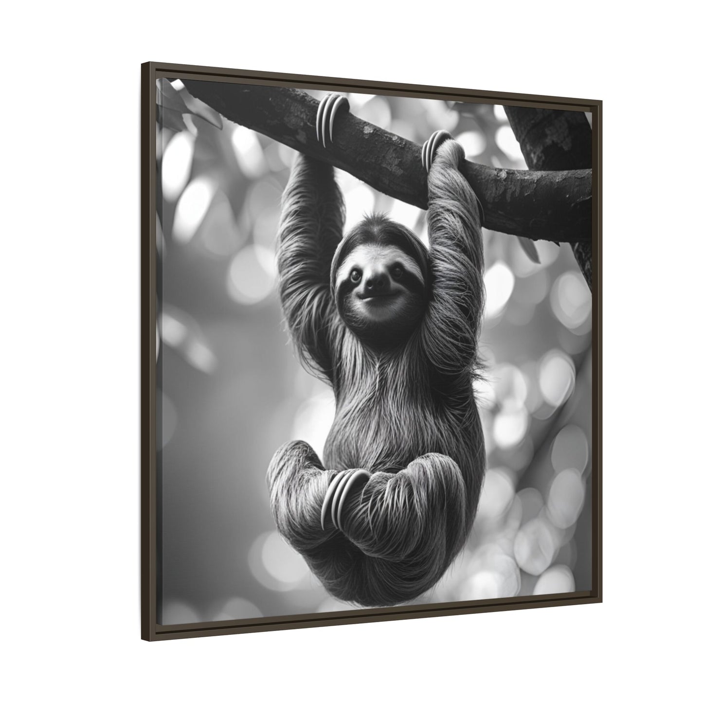 Framed black and white photo of a sloth hanging on a branch with a blurred bokeh background.