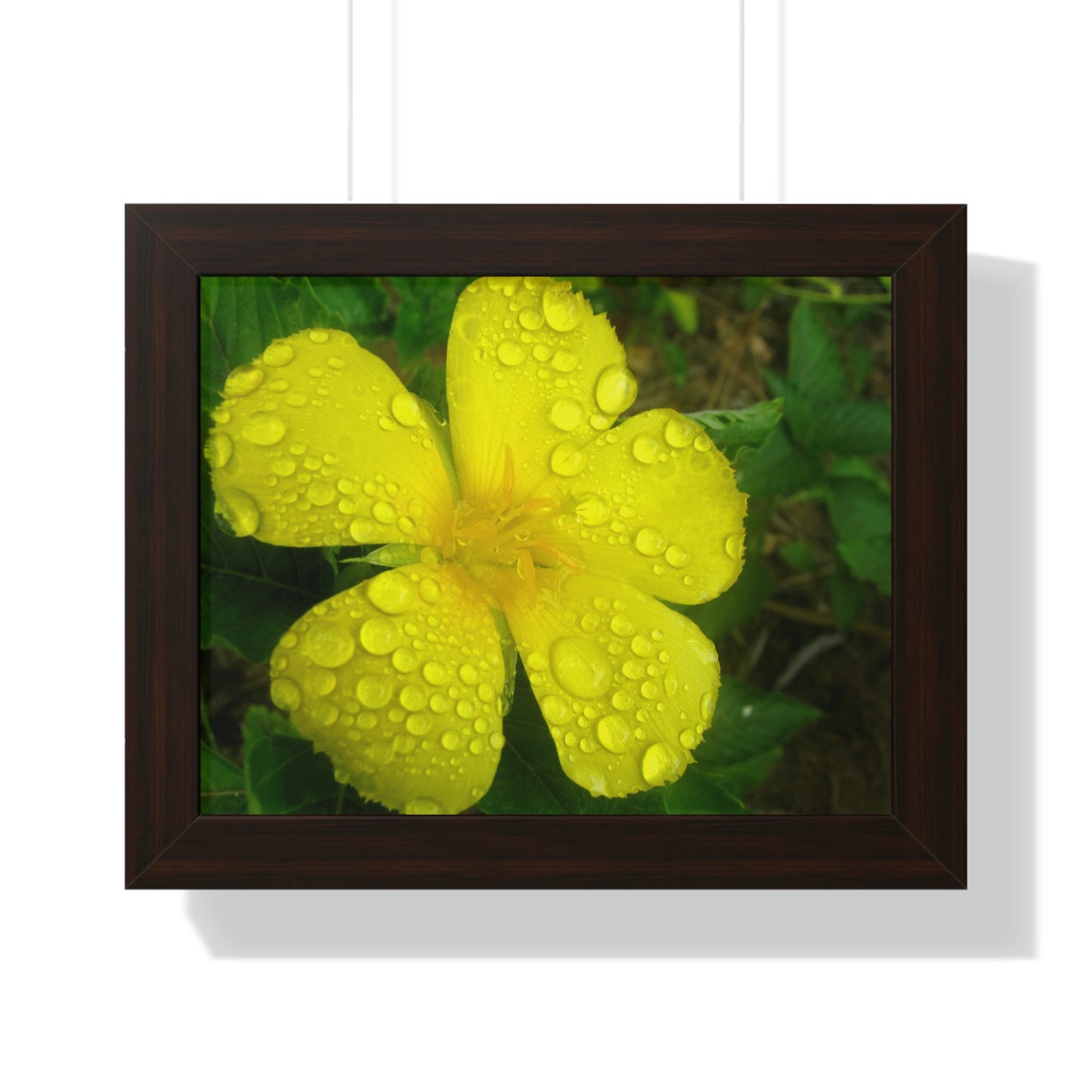 Rain Kissed Yellow Flower Framed Art – Elegant Botanical Wall Decor, Bright Nature Print for Living Room Bedroomift