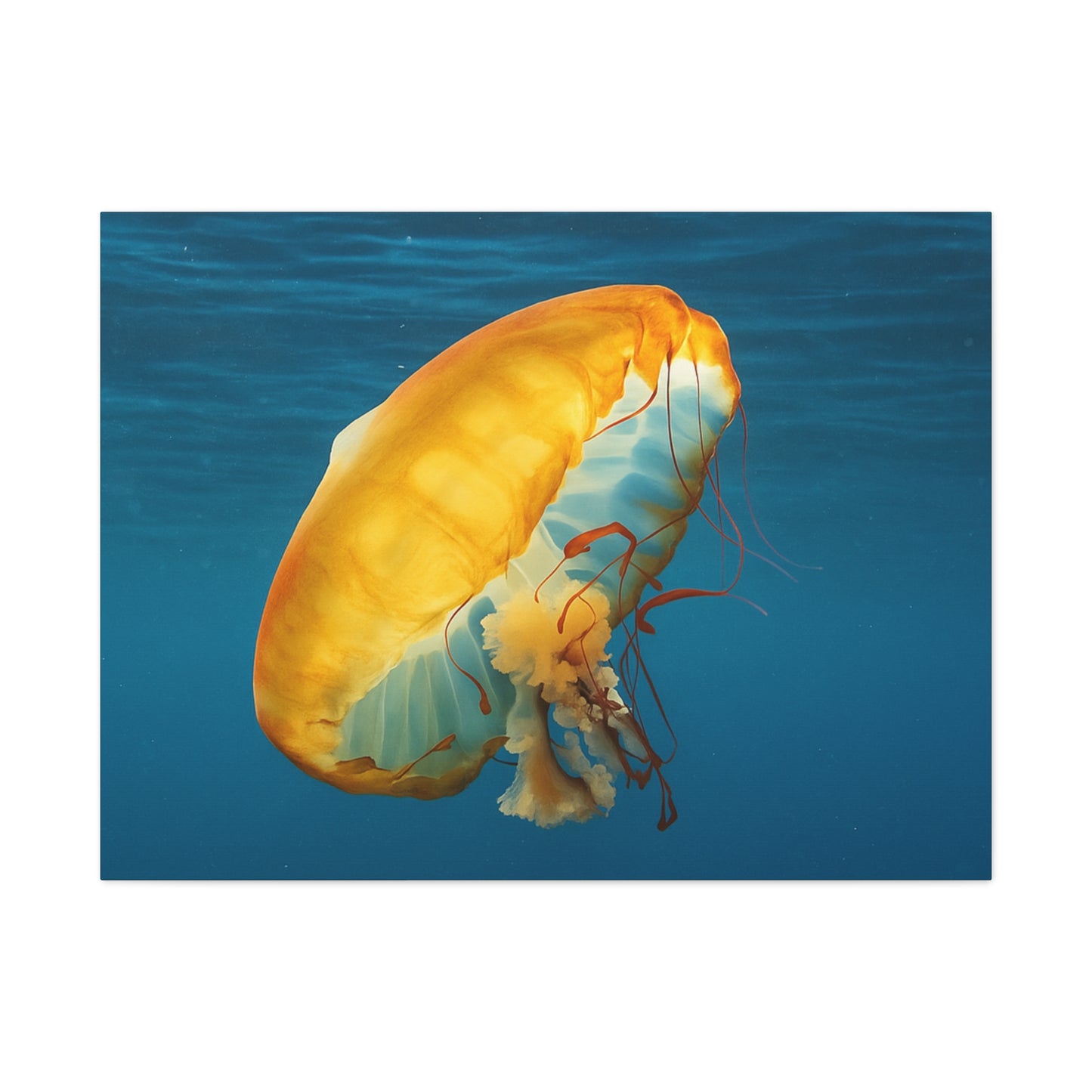 Yellow jellyfish swimming in clear blue water