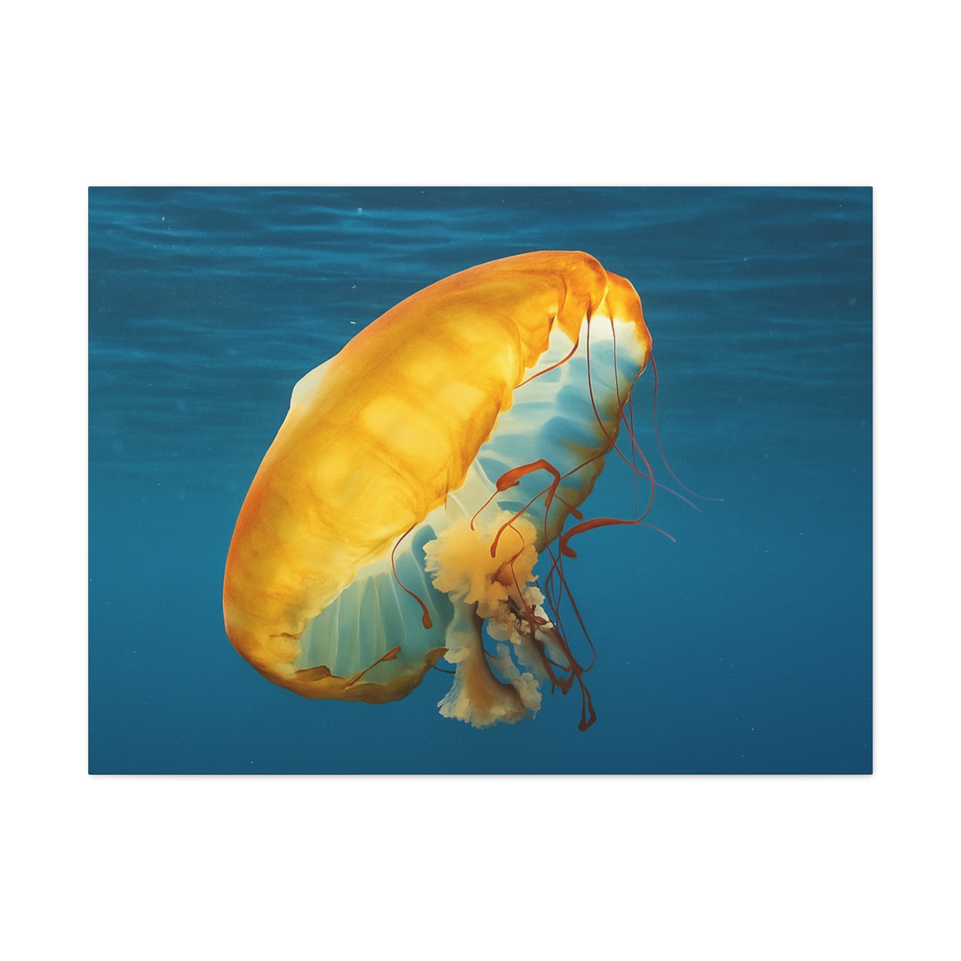 Yellow jellyfish swimming in clear blue water