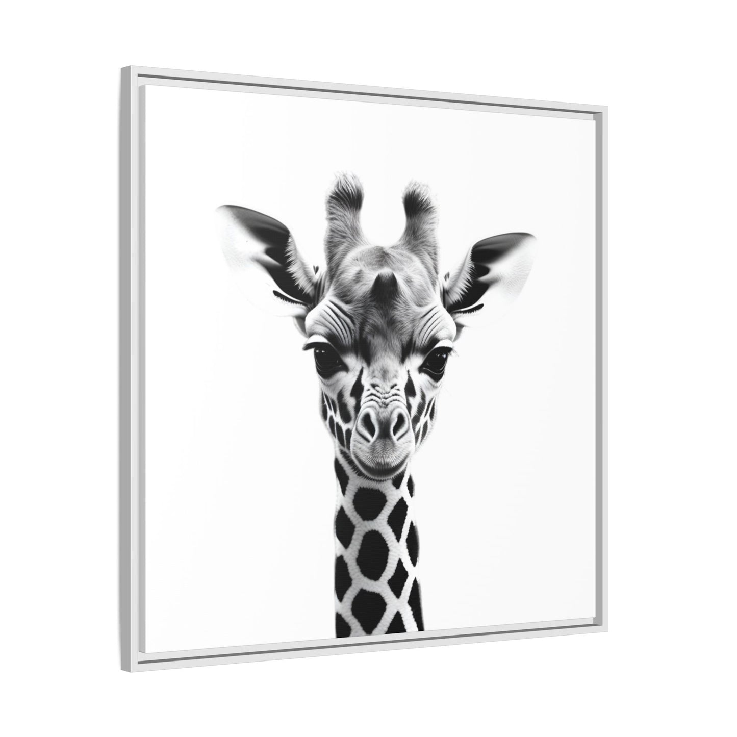 Baby Giraffe Wall Art Black & White Wildlife Photography Print, Cute Giraffe Lover Gift