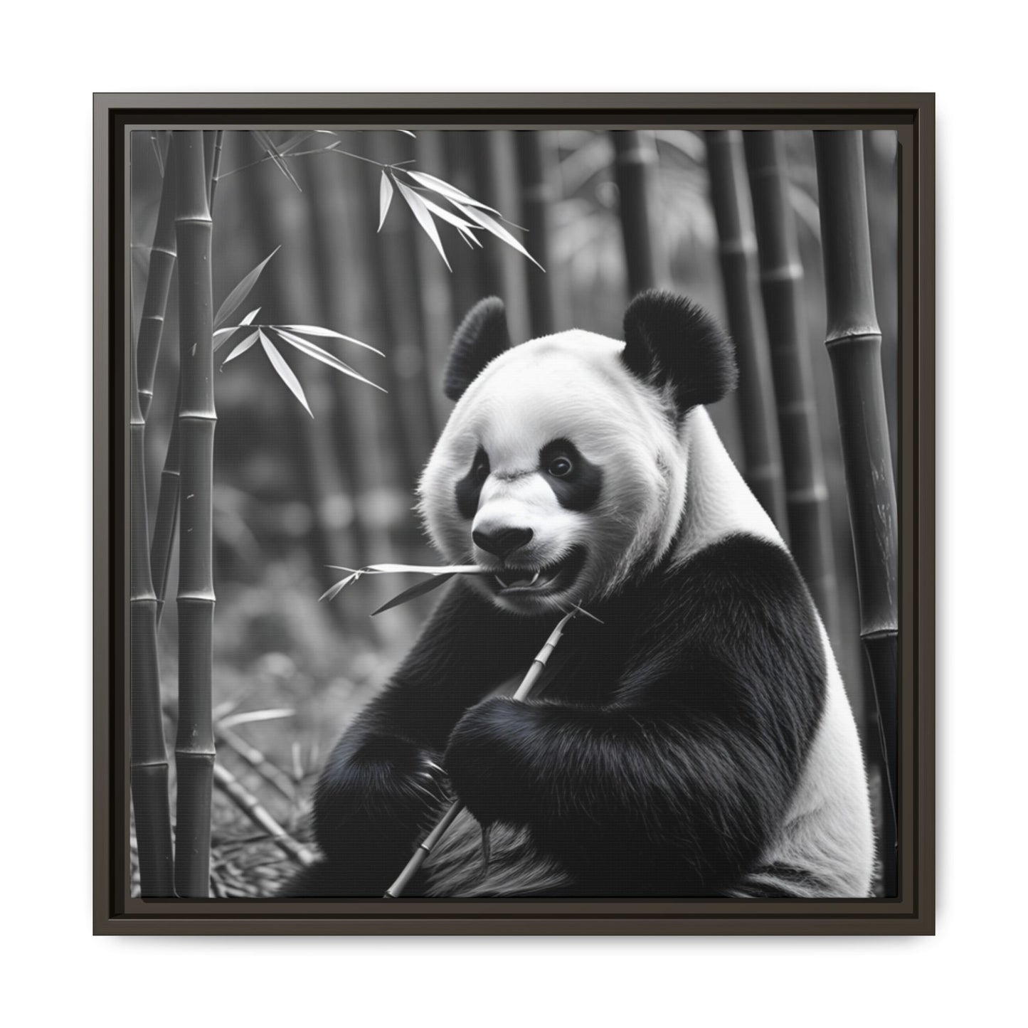 Framed black and white photograph of a panda bear holding bamboo