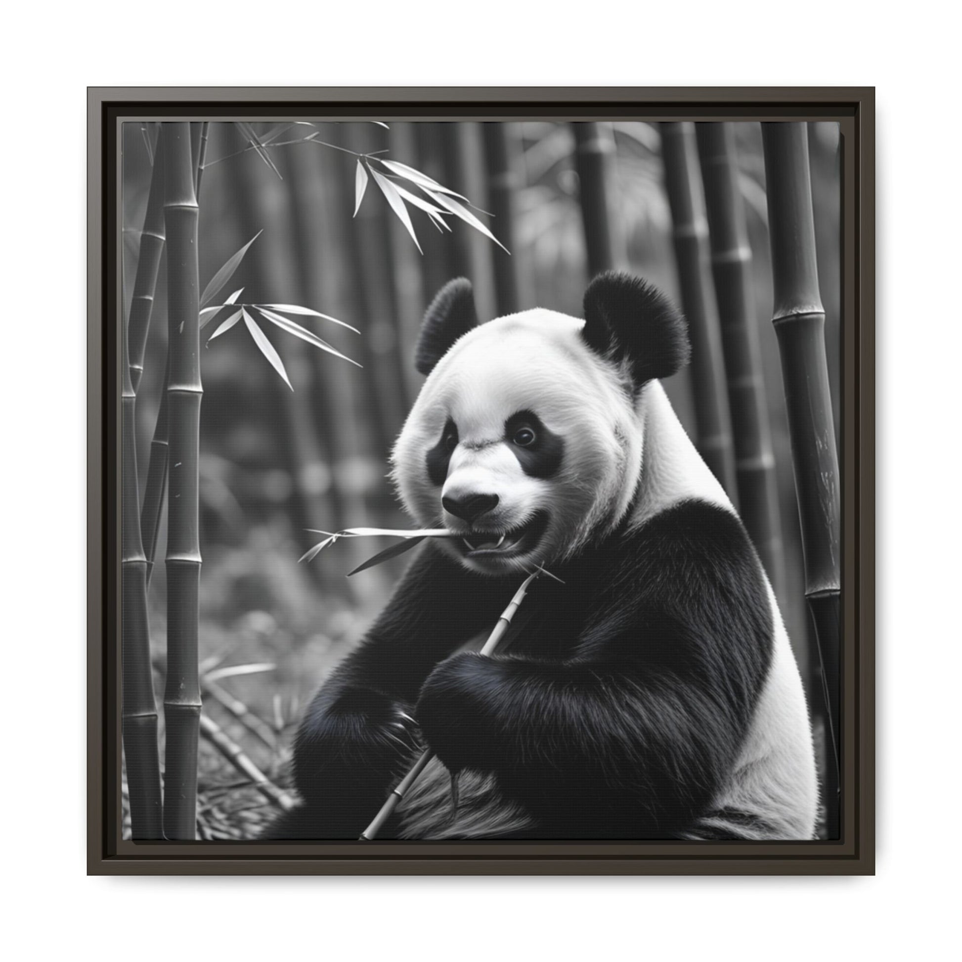 Framed black and white photograph of a panda bear holding bamboo