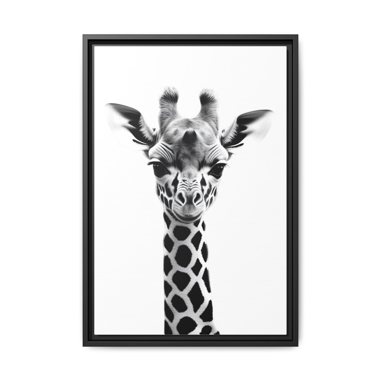 Baby Giraffe Wall Art Black & White Wildlife Photography Print, Cute Giraffe Lover Gift