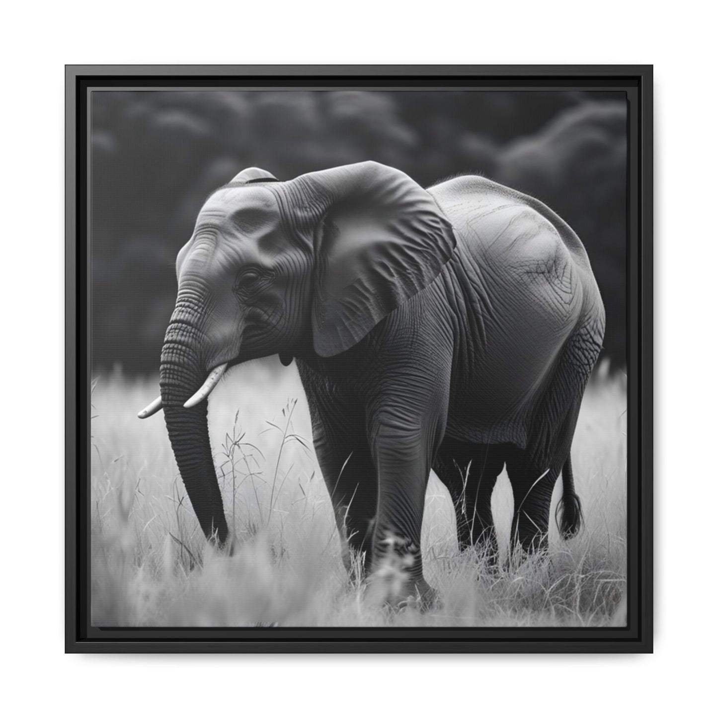 Black and white photo of an elephant in a natural setting with a black frame.