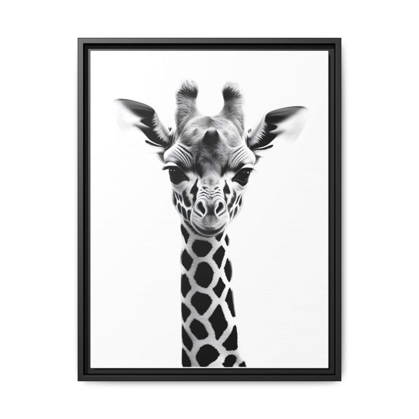 Framed black and white photo of a giraffe on a white background