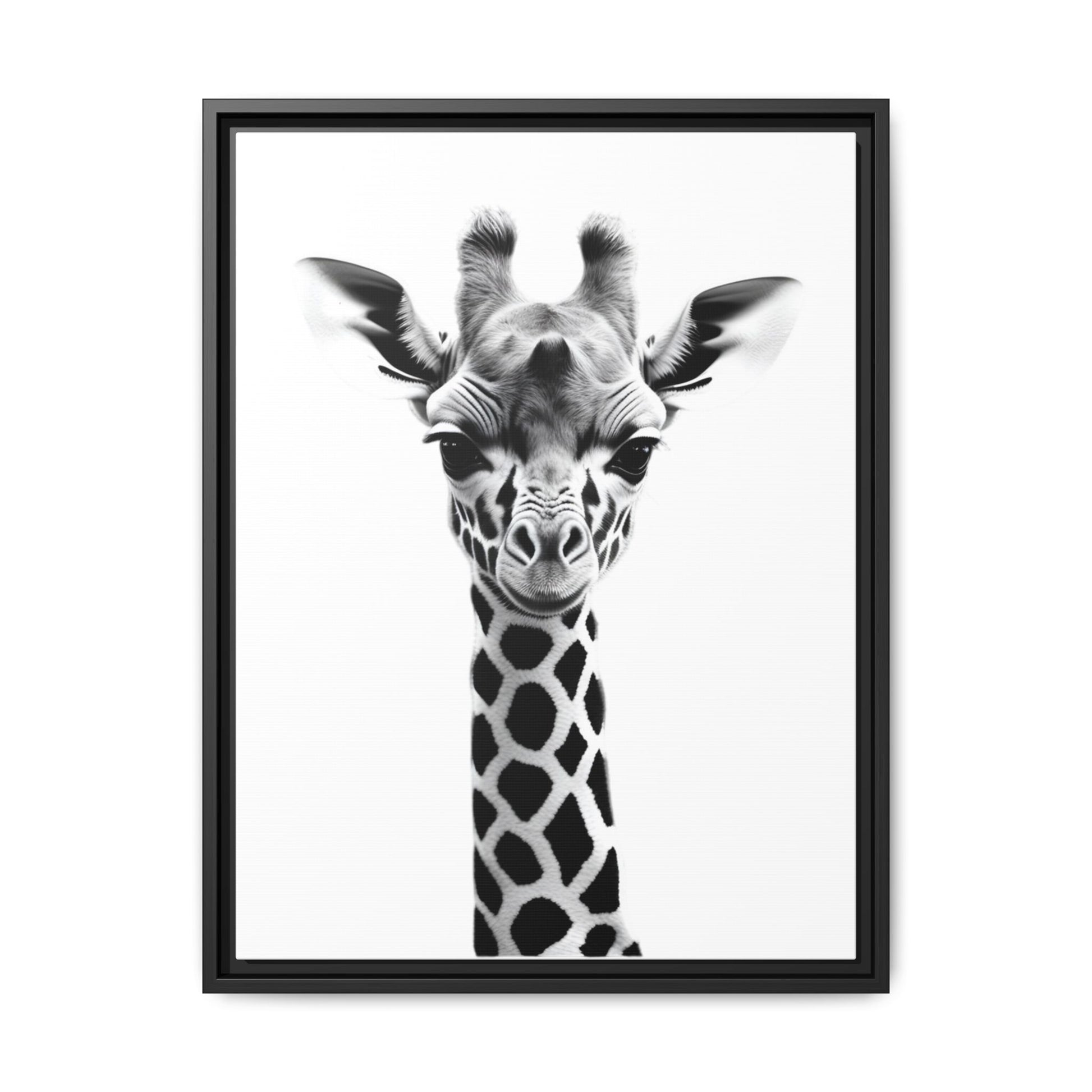 Framed black and white photo of a giraffe on a white background