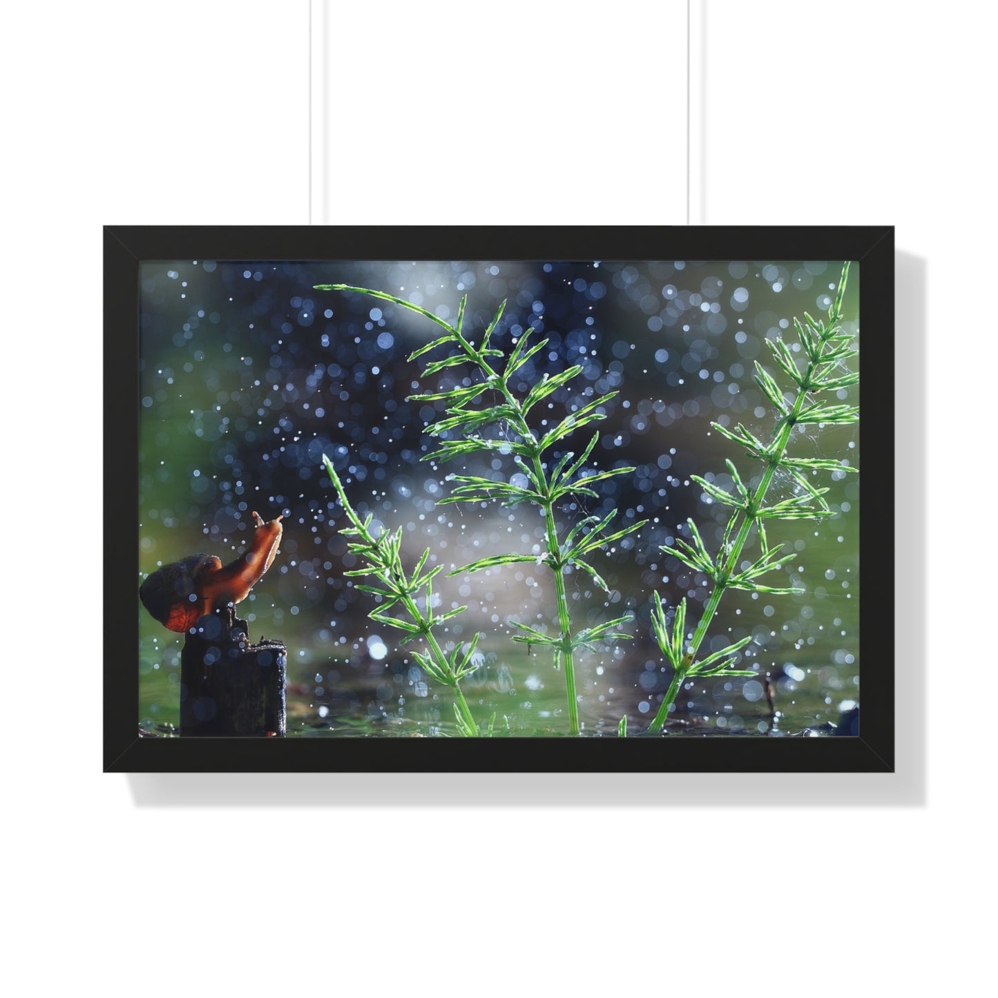 Snail Nature Wall Art – Rain Macro Botanical Print, Zen Forest Decor, Moody Nature, Calm Mindfulness Wall Art