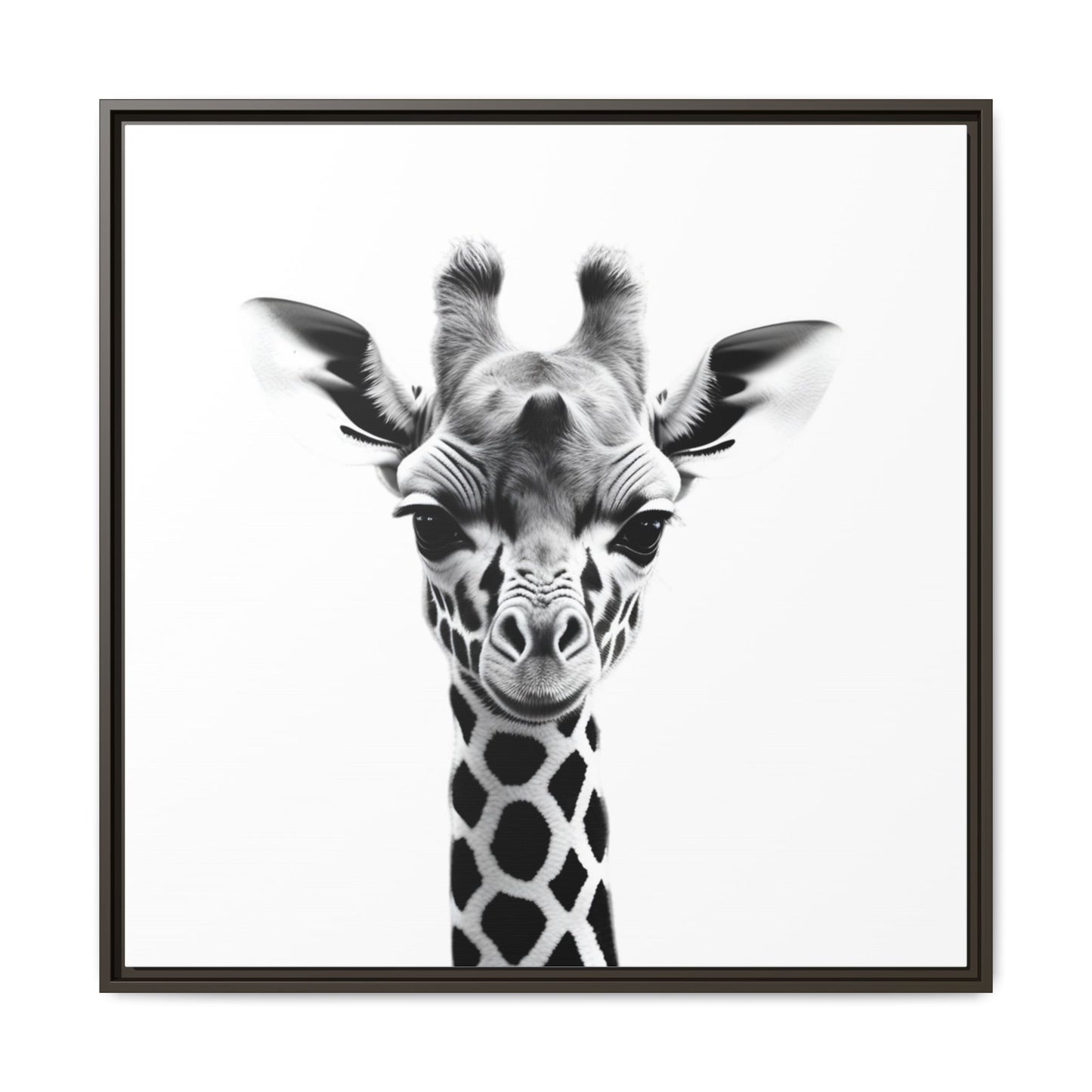 Baby Giraffe Wall Art Black & White Wildlife Photography Print, Cute Giraffe Lover Gift