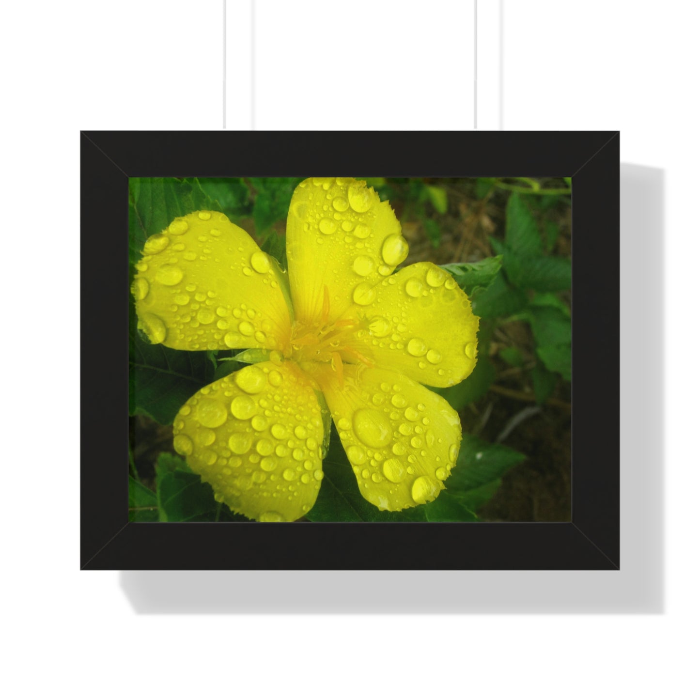 Rain Kissed Yellow Flower Framed Art – Elegant Botanical Wall Decor, Bright Nature Print for Living Room Bedroomift
