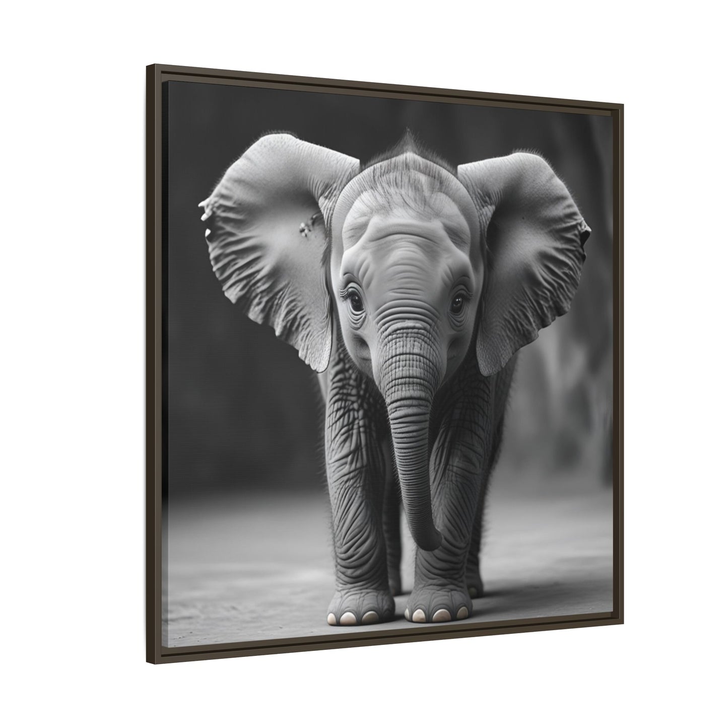Adorable Baby Elephant Wall Art Black & White Wildlife Photography Print, Cute Safari Animal Home Decor, Elephant Lover Gift
