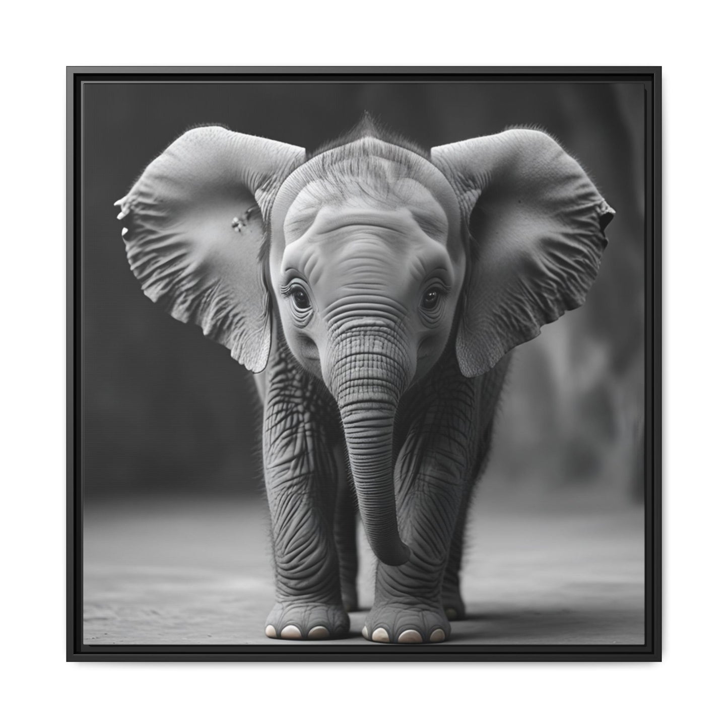 Adorable Baby Elephant Wall Art Black & White Wildlife Photography Print, Cute Safari Animal Home Decor, Elephant Lover Gift