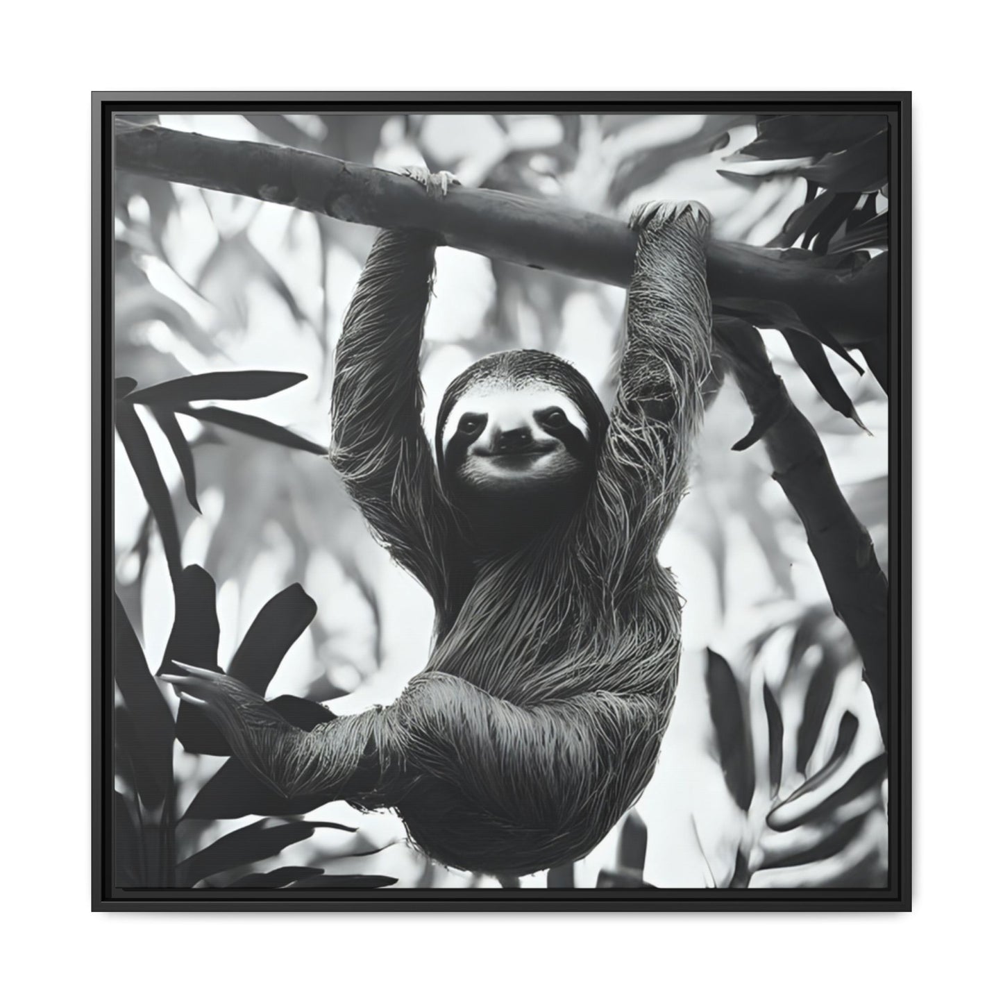 Playful Sloth Hanging from Tree Branch Black & White Animal Wall Art, Cute Sloth Photography Print, Jungle Theme Home Deco
