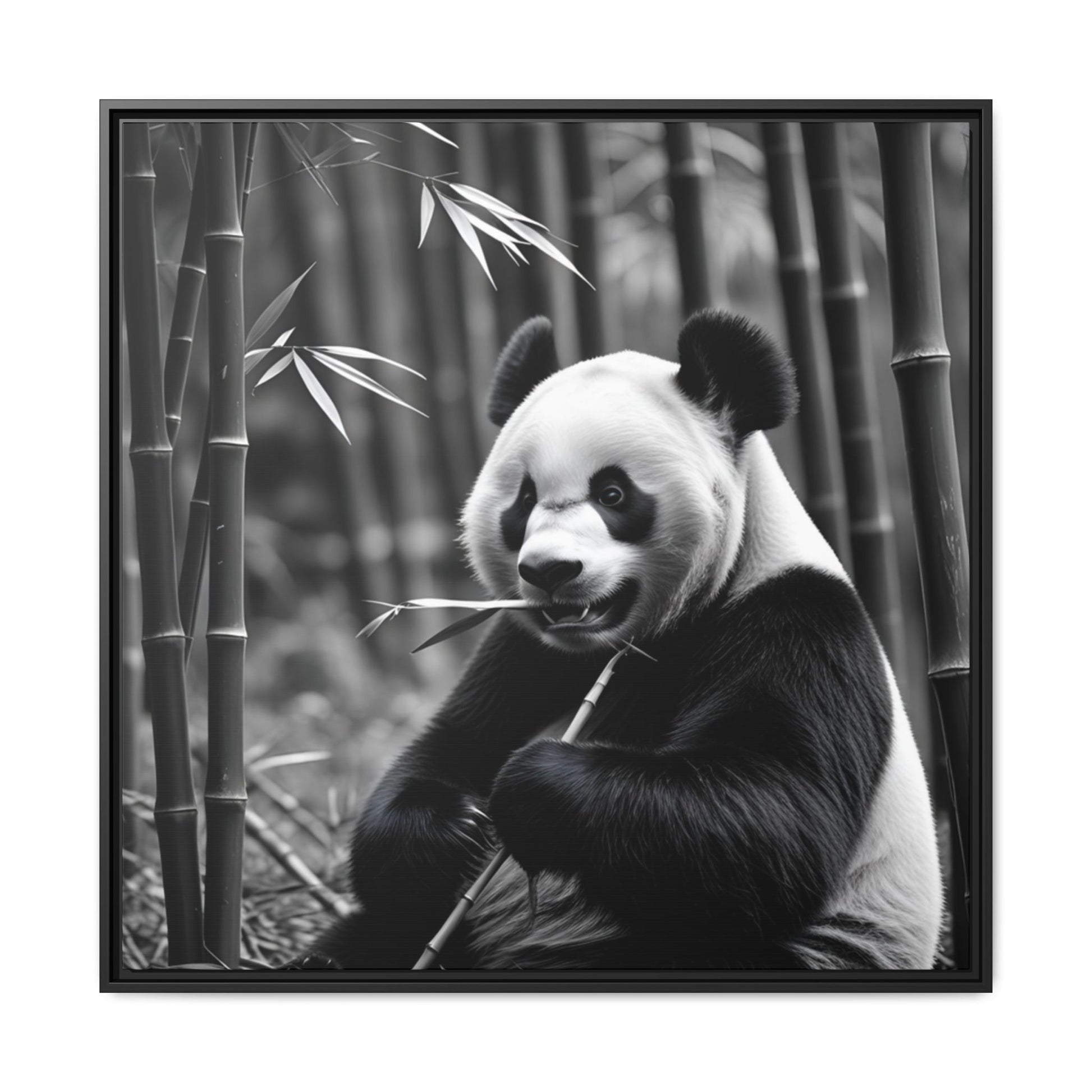 Black and white photo of a panda bear holding bamboo in a forest setting