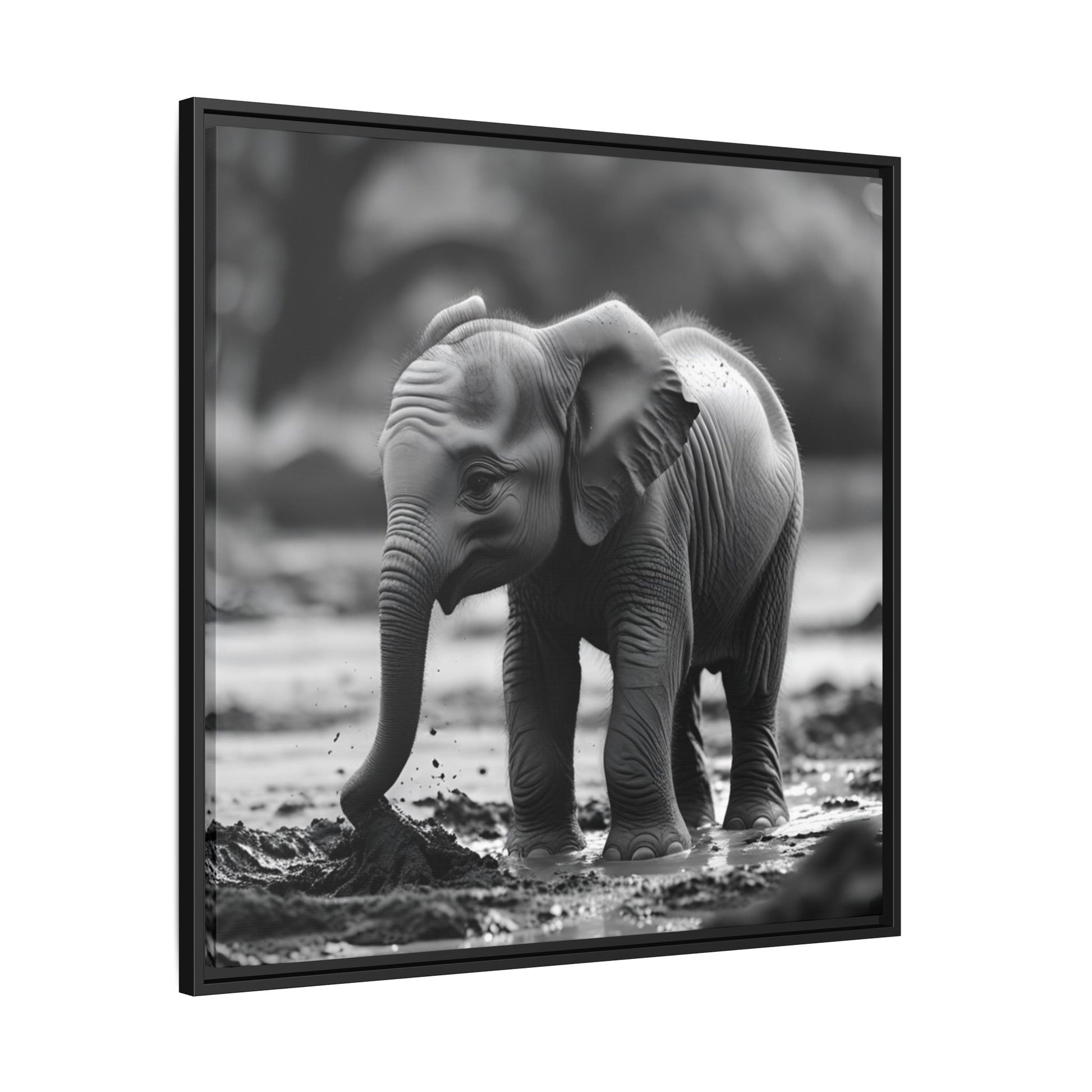 Black and white photo of a baby elephant playing in water with a blurred natural background