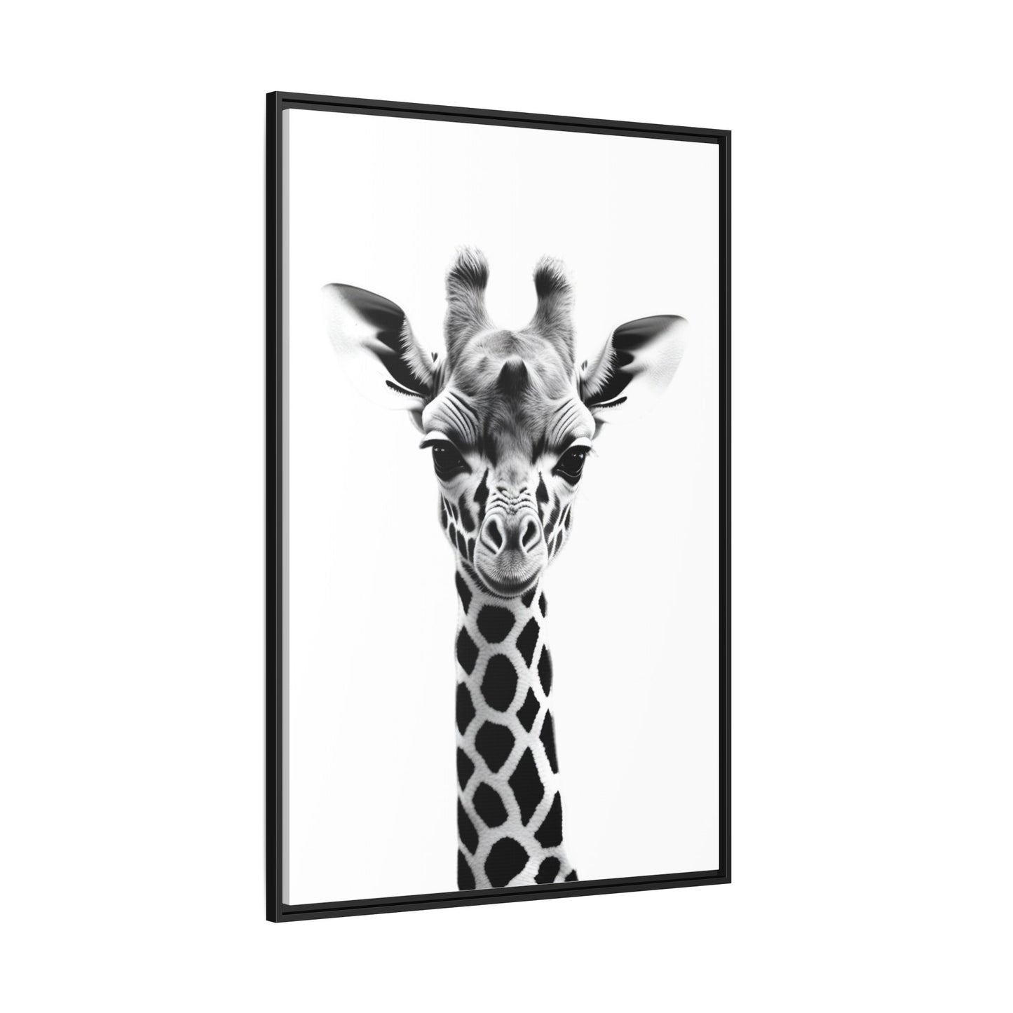 Baby Giraffe Wall Art Black & White Wildlife Photography Print, Cute Giraffe Lover Gift