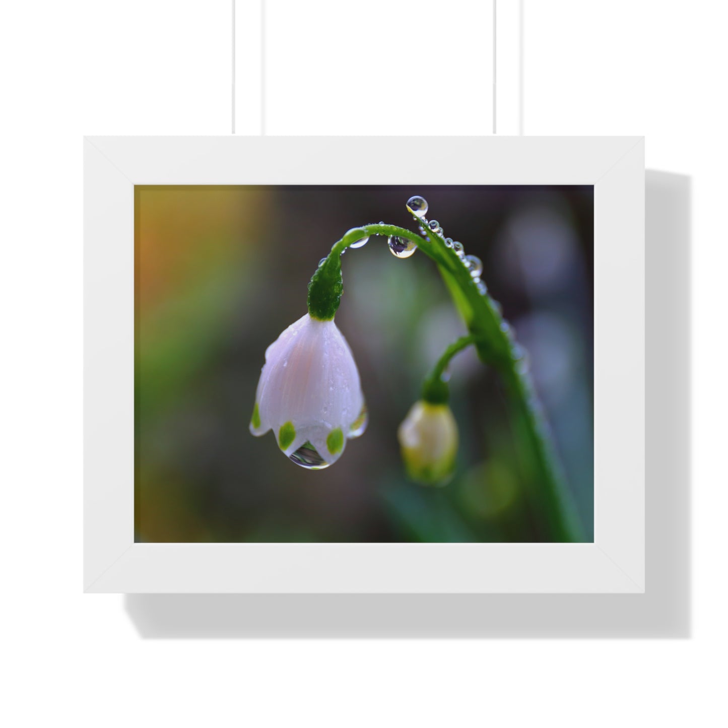 Dew Drop Flower Framed Wall Art – Macro Nature Photography, Minimalist Floral Print, Elegant Botanical Home Decor