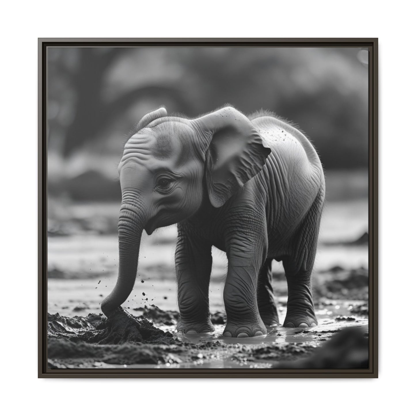 Black and white photo of a baby elephant playing in water