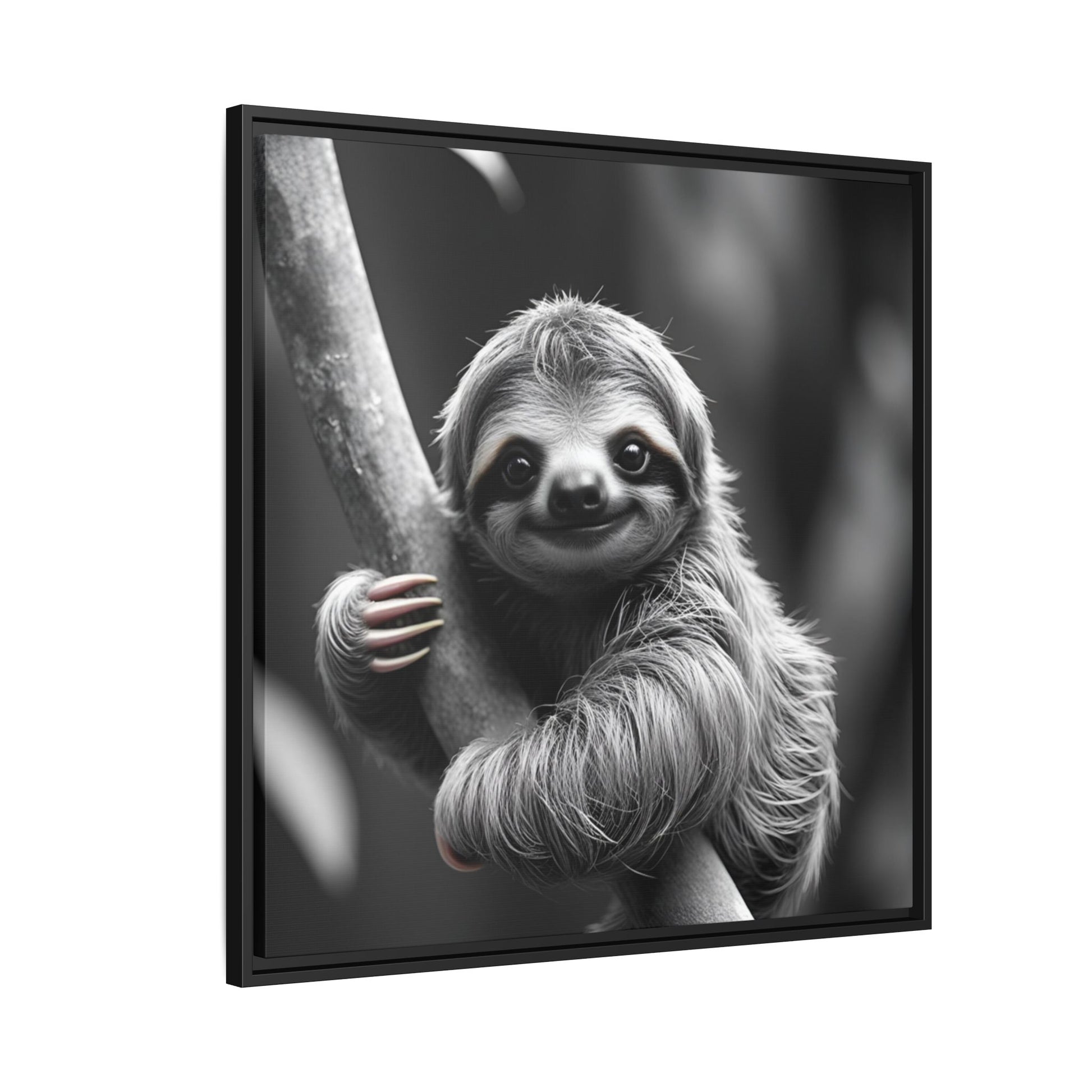 Framed artwork of a sloth hanging from a branch with a black border.