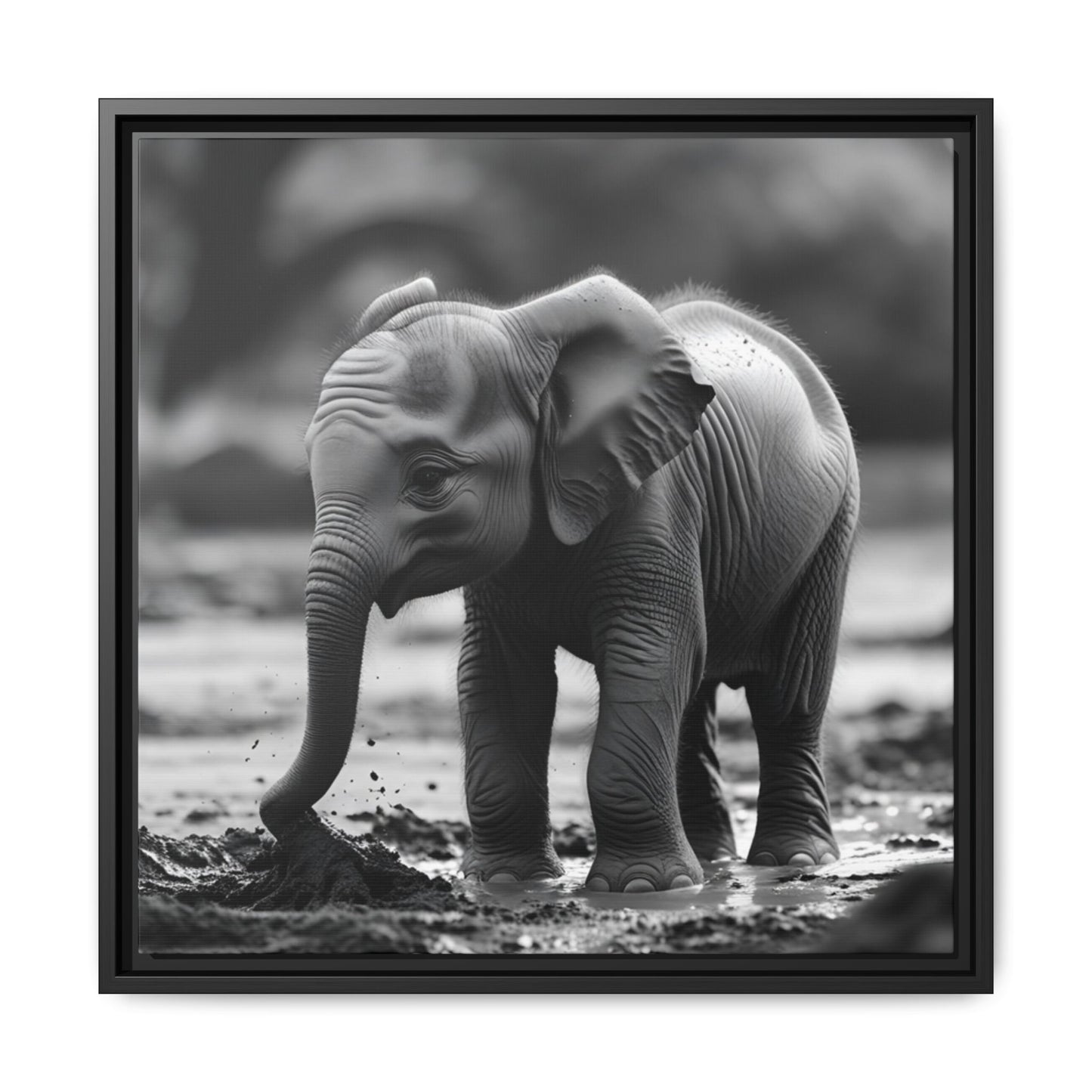 Black and white photo of a baby elephant playing in water