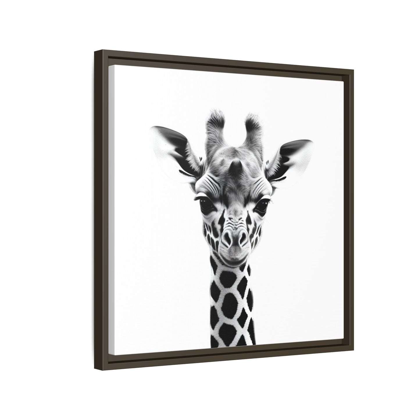 Baby Giraffe Wall Art Black & White Wildlife Photography Print, Cute Giraffe Lover Gift