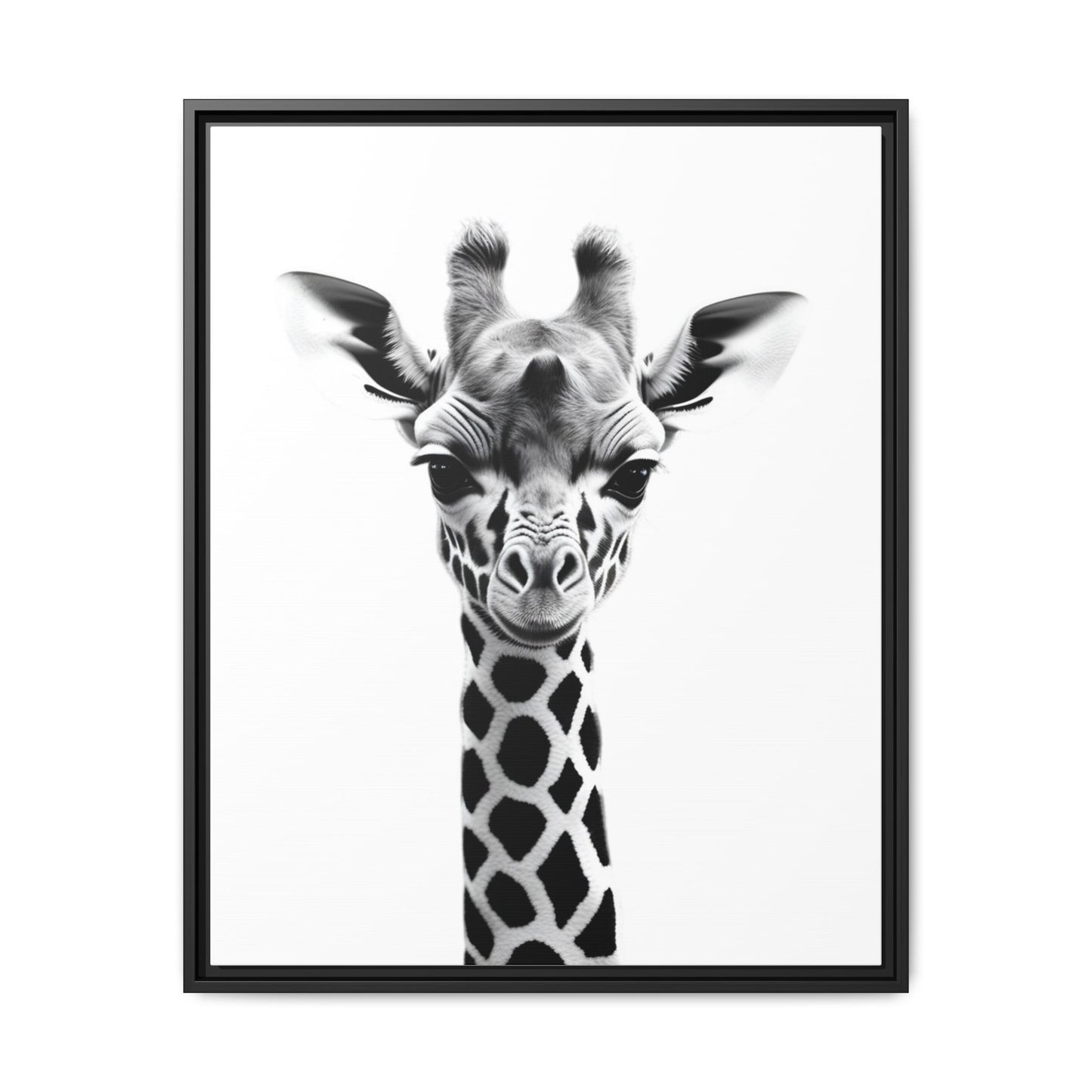 Baby Giraffe Wall Art Black & White Wildlife Photography Print, Cute Giraffe Lover Gift