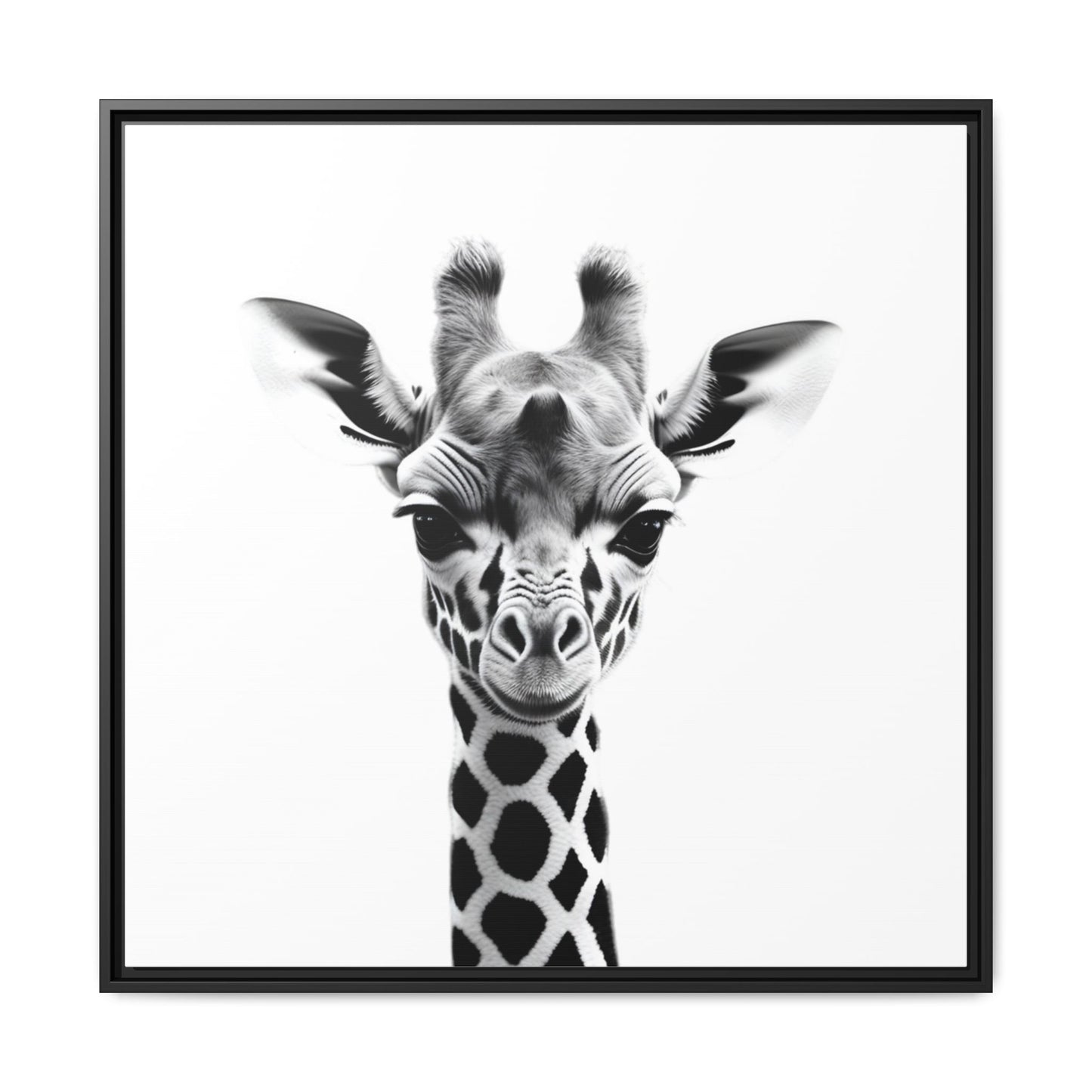 Framed black and white photo of a giraffe's face on a white background