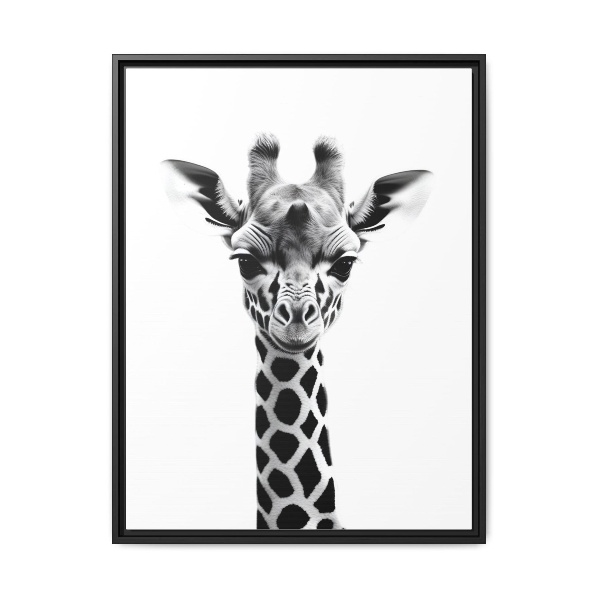 Framed black and white photo of a giraffe's head on a white background