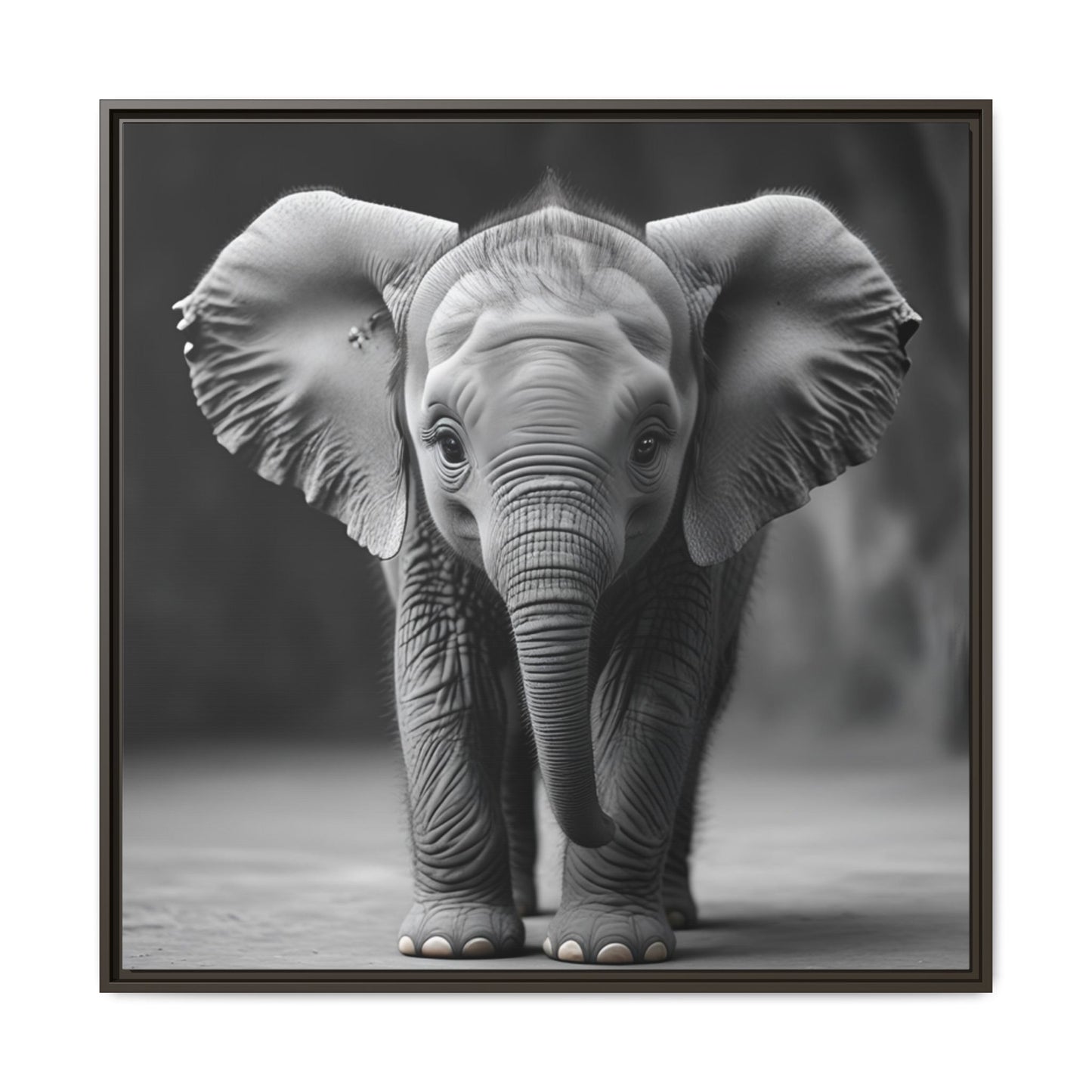 Adorable Baby Elephant Wall Art Black & White Wildlife Photography Print, Cute Safari Animal Home Decor, Elephant Lover Gift