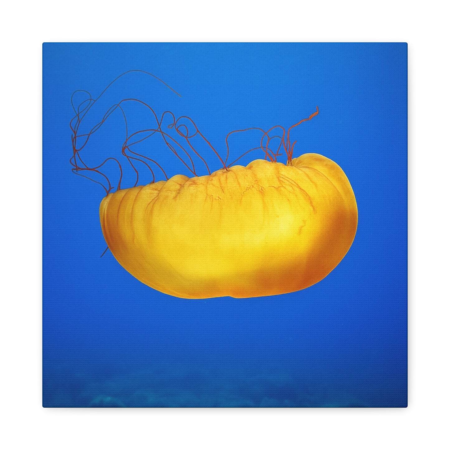 Golden Jellyfish Canvas Wall Art | Ocean Photography Print | Coastal Home Decor | Marine Life Artwork | Blue Sea Jellyfish Poster 1.25"