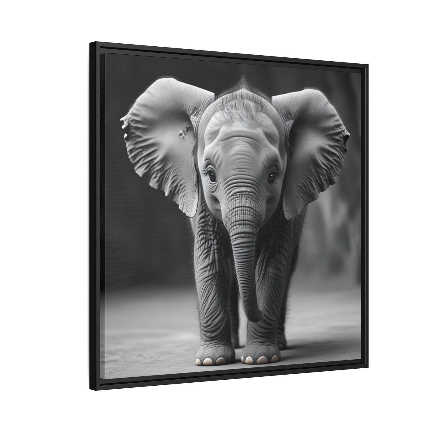 Adorable Baby Elephant Wall Art Black & White Wildlife Photography Print, Cute Safari Animal Home Decor, Elephant Lover Gift