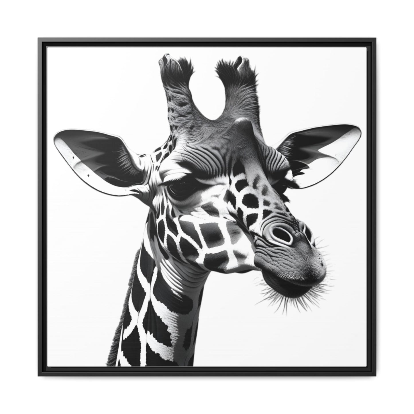 Black and White Giraffe Wall Art – Framed Safari Animal Canvas Print