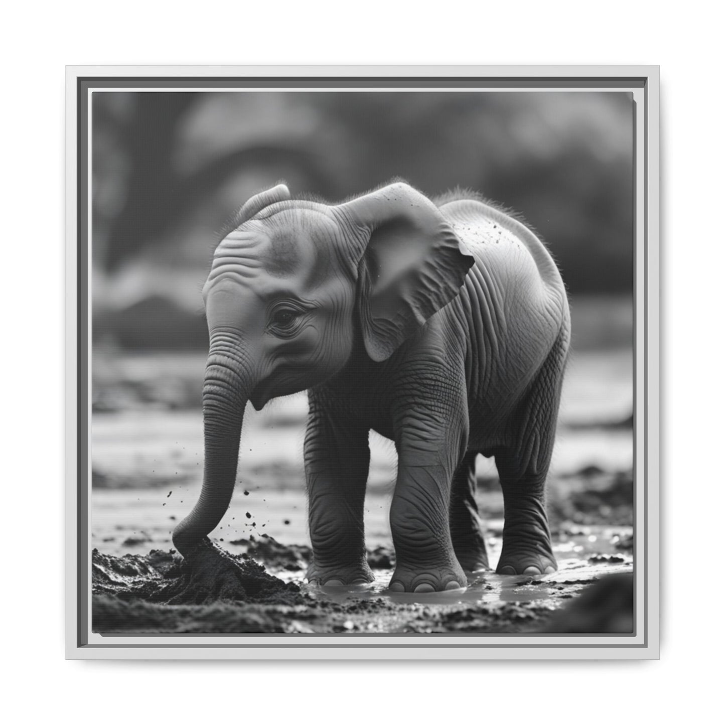 Black and white photo of a baby elephant standing in water
