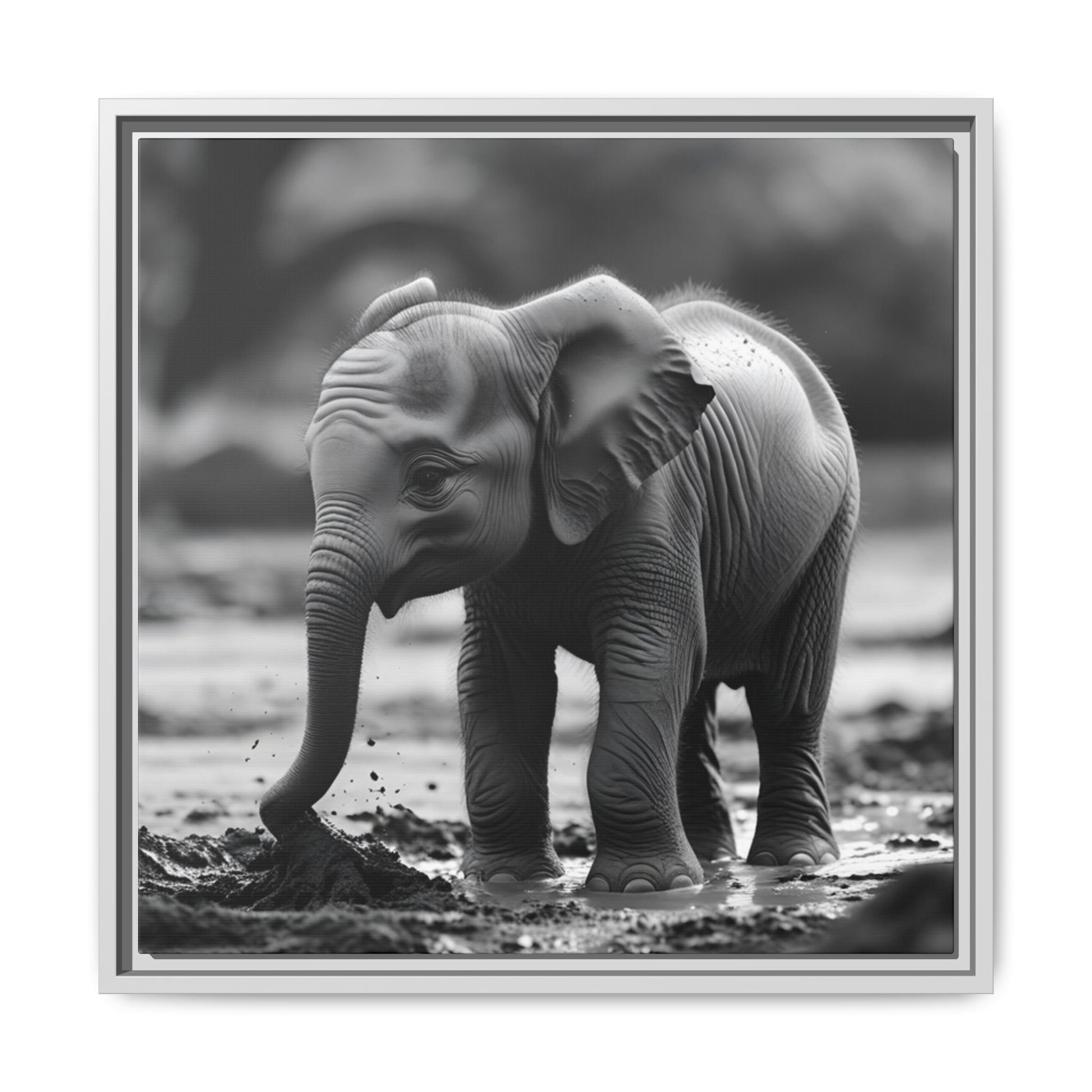 Black and white photo of a baby elephant standing in water