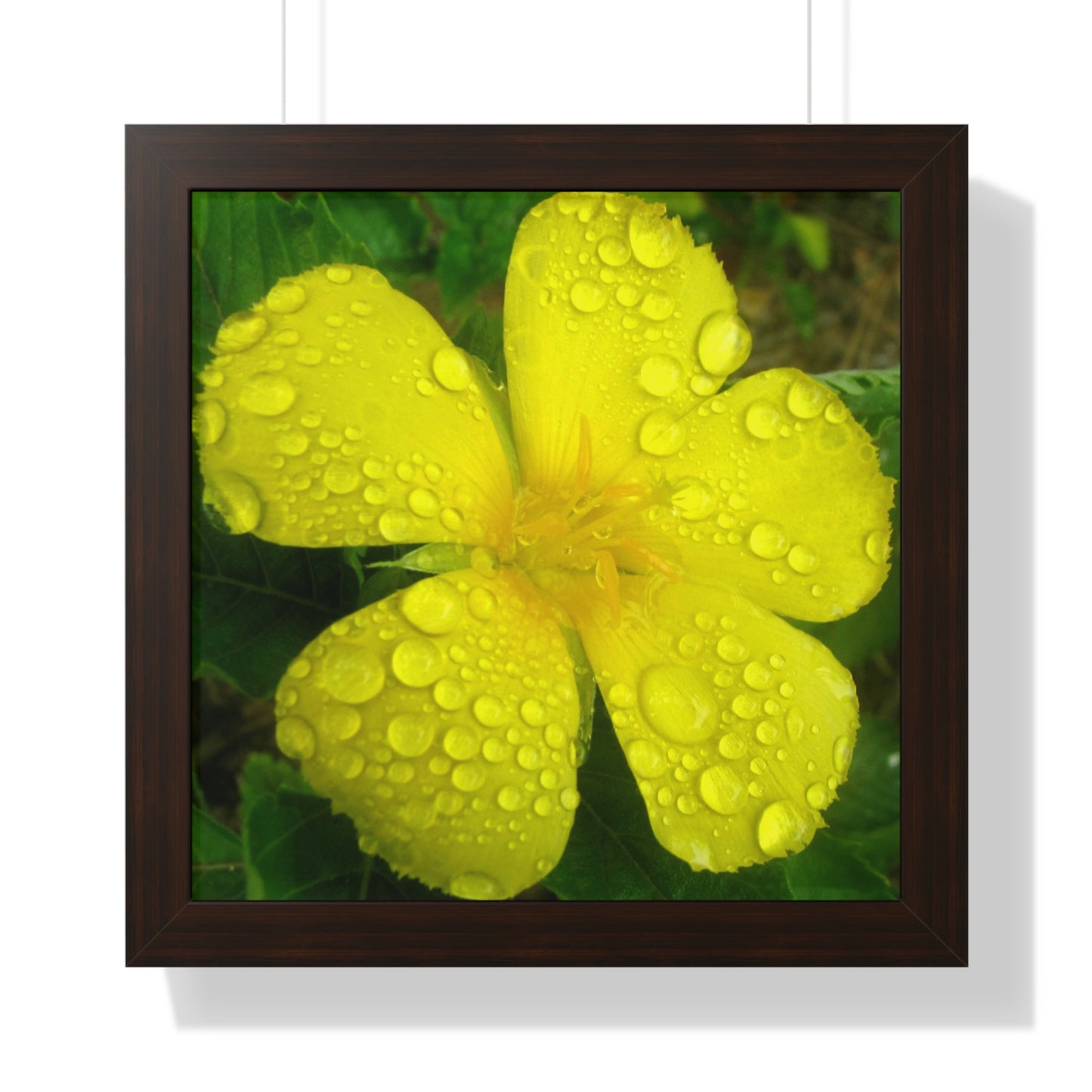 Rain Kissed Yellow Flower Framed Art – Elegant Botanical Wall Decor, Bright Nature Print for Living Room Bedroomift