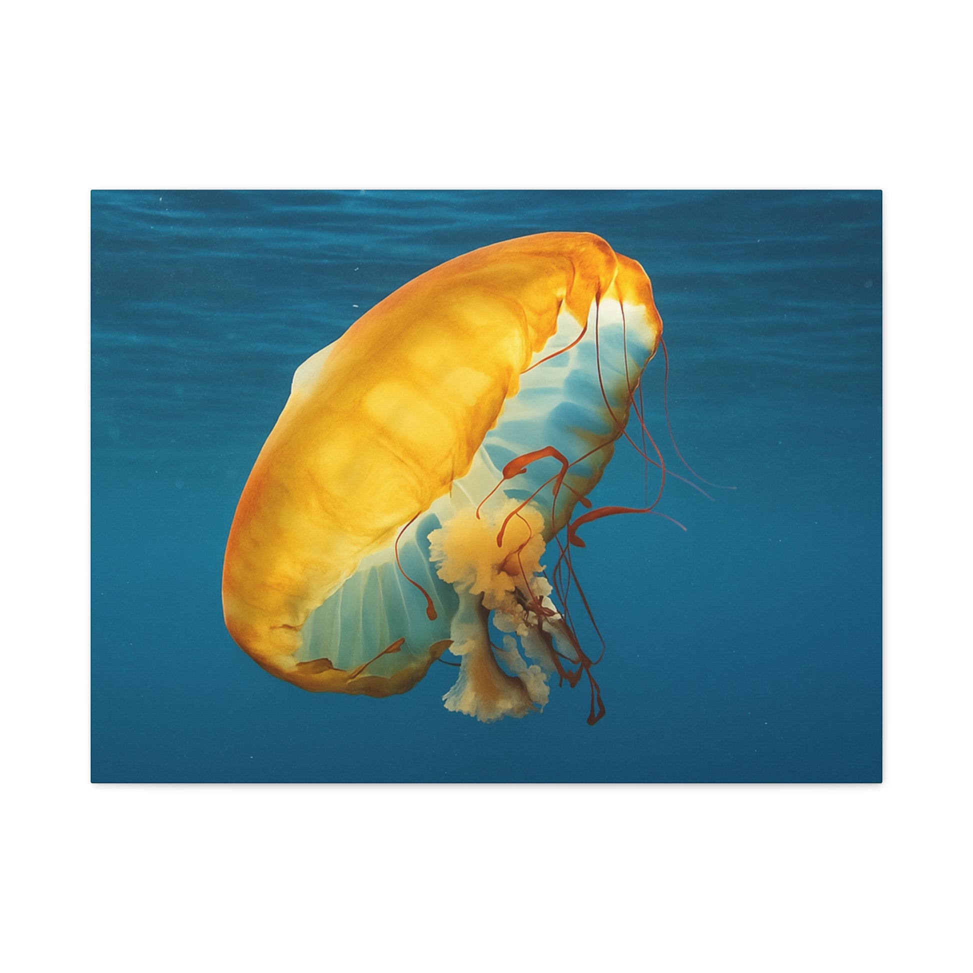 Jellyfish swimming in clear blue water