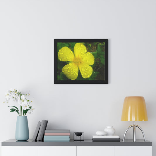 Rain Kissed Yellow Flower Framed Art – Elegant Botanical Wall Decor, Bright Nature Print for Living Room Bedroomift