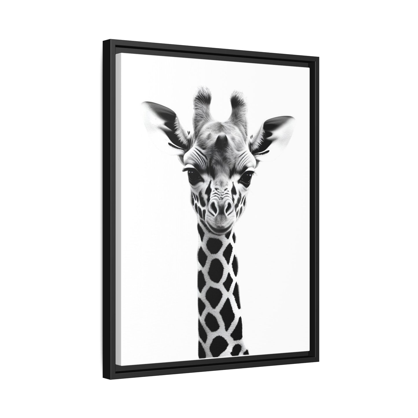 Baby Giraffe Wall Art Black & White Wildlife Photography Print, Cute Giraffe Lover Gift
