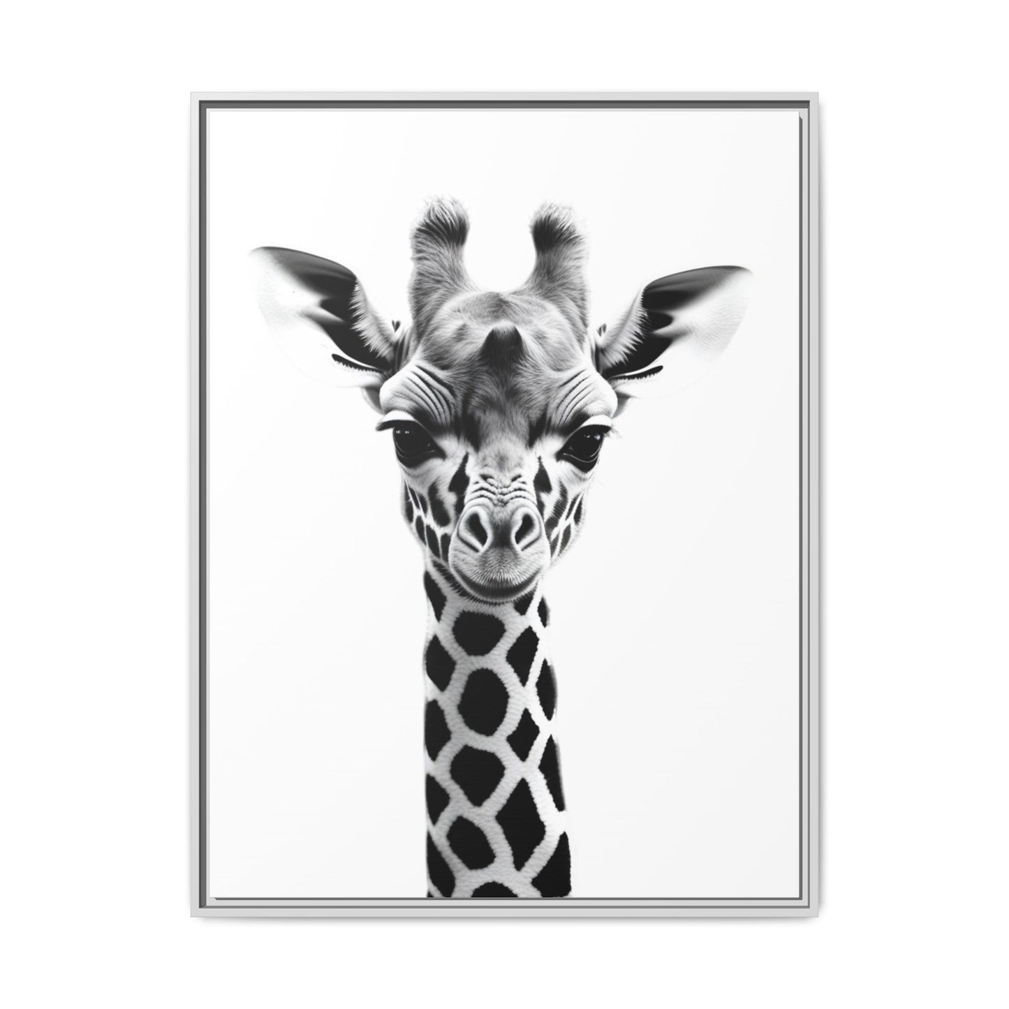 Baby Giraffe Wall Art Black & White Wildlife Photography Print, Cute Giraffe Lover Gift