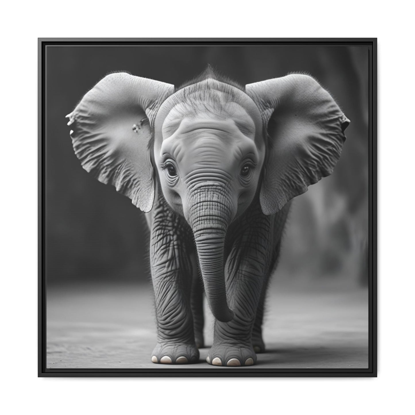 Adorable Baby Elephant Wall Art Black & White Wildlife Photography Print, Cute Safari Animal Home Decor, Elephant Lover Gift