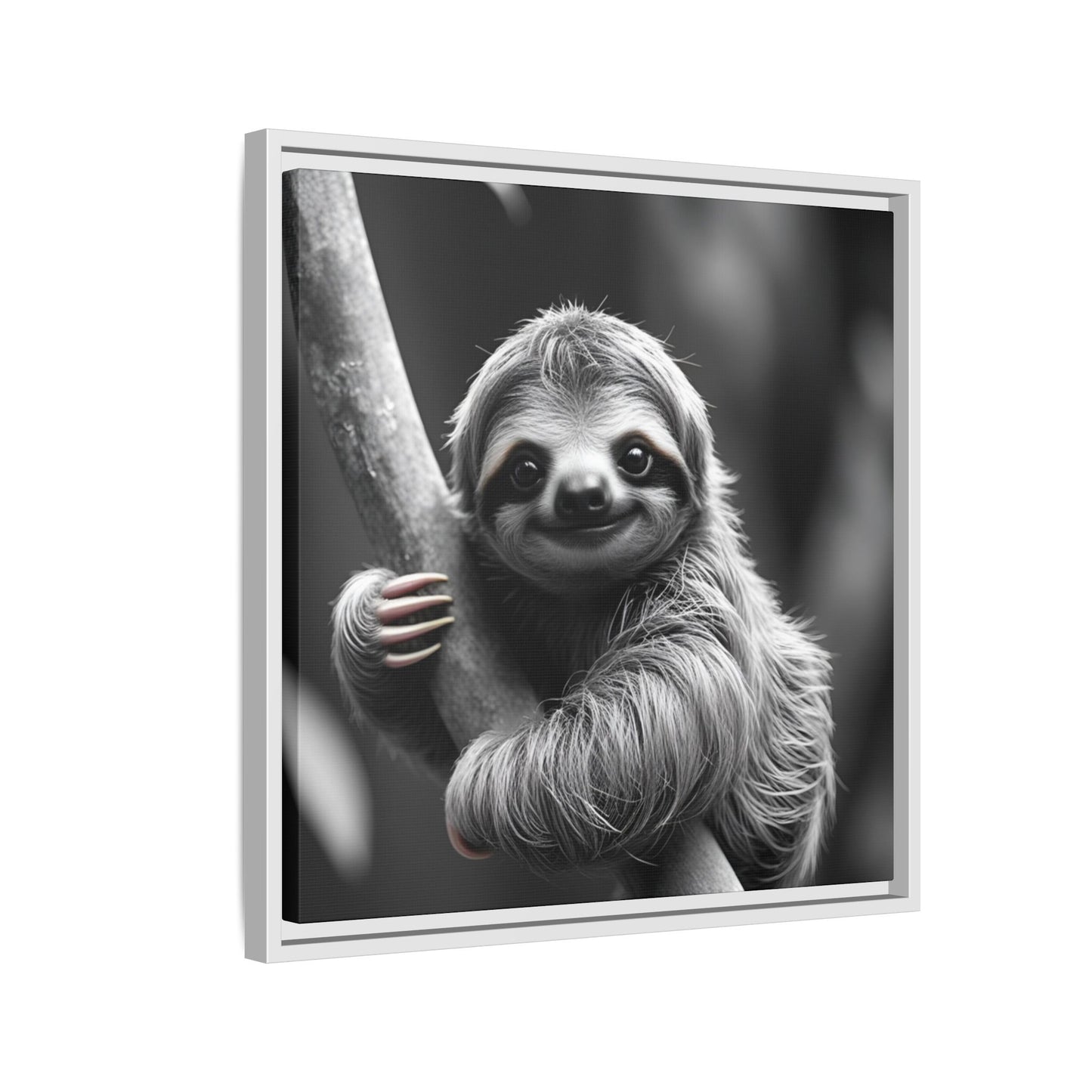 Framed black and white photo of a sloth on a branch