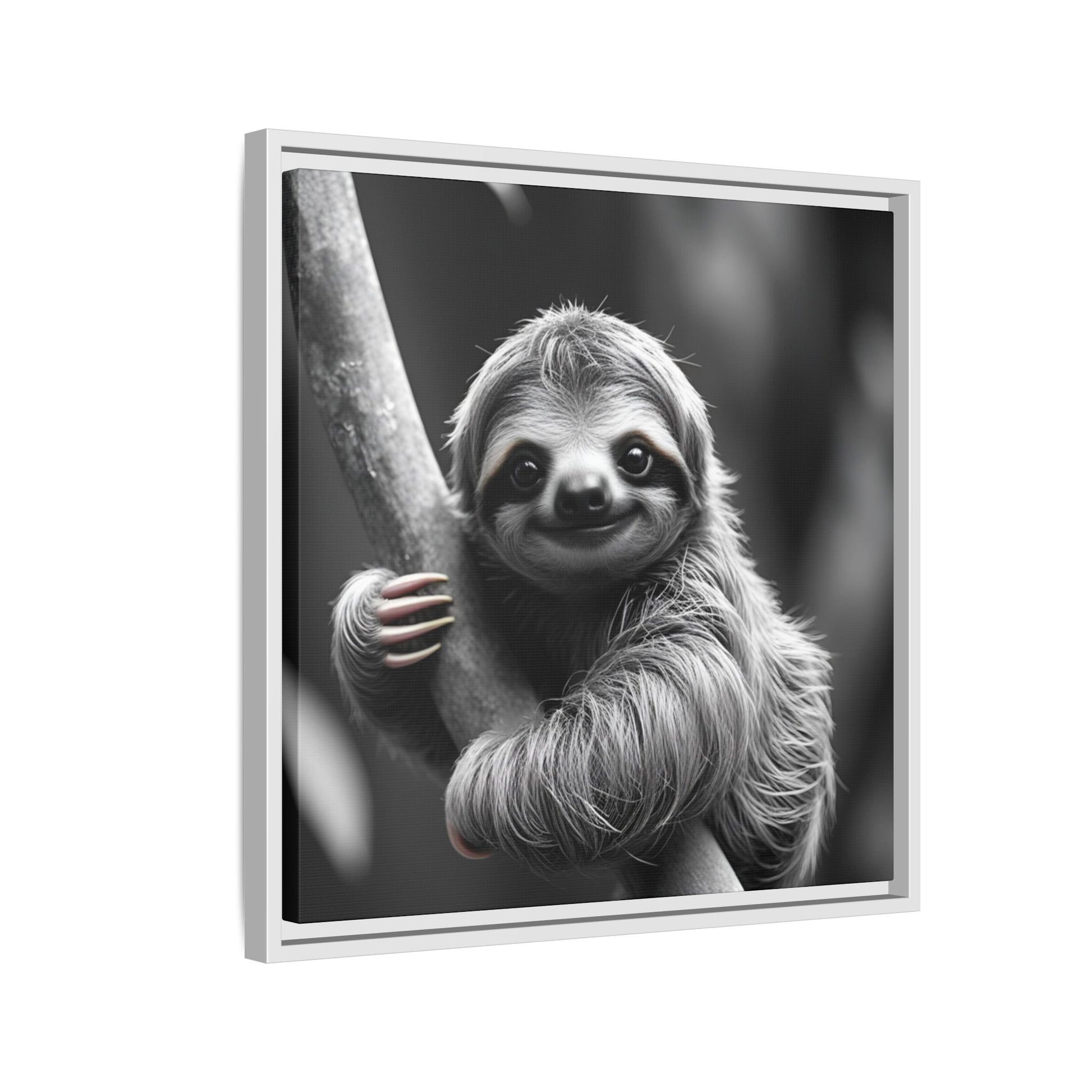 Framed black and white photo of a sloth on a branch