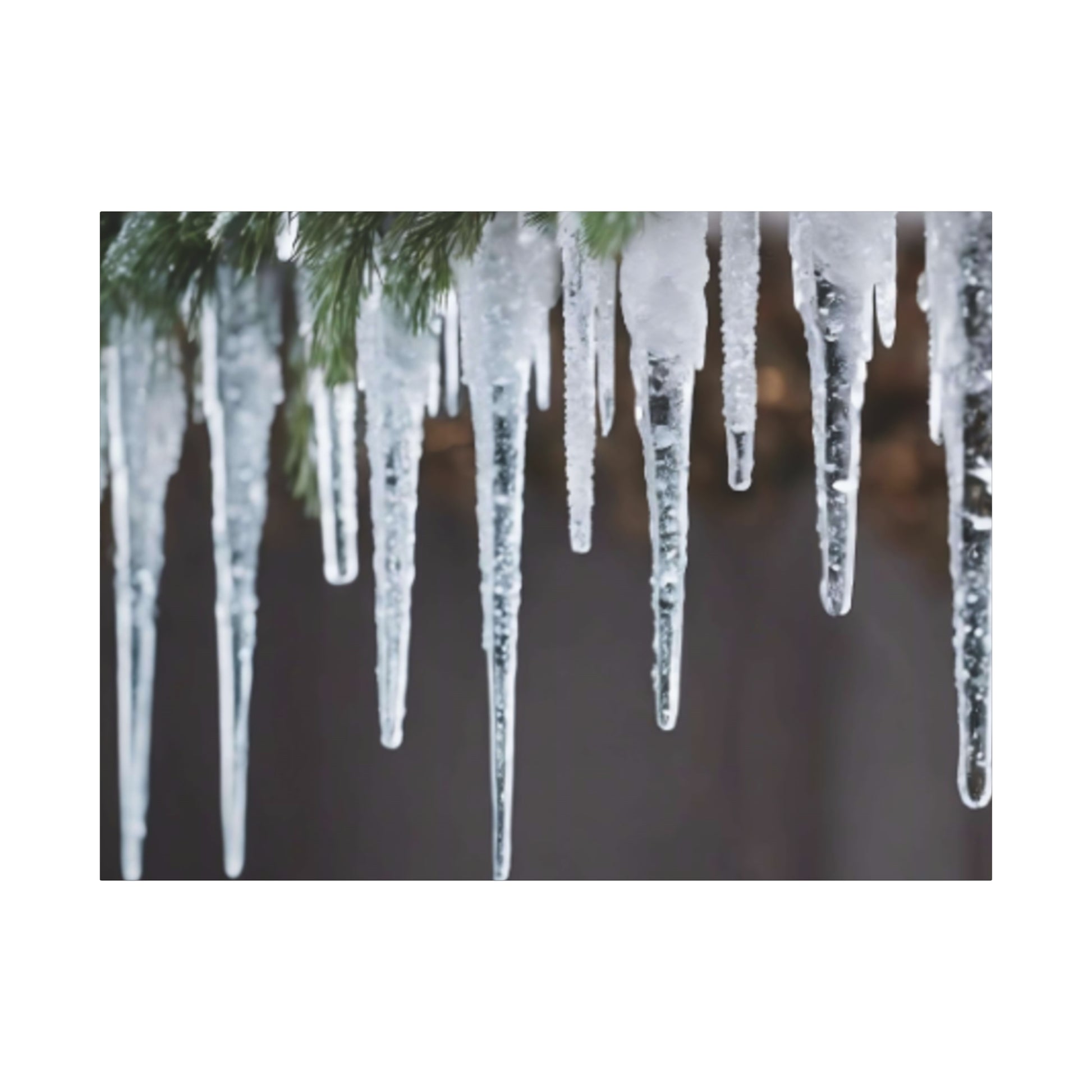 Icicles hanging from a branch with a blurred background