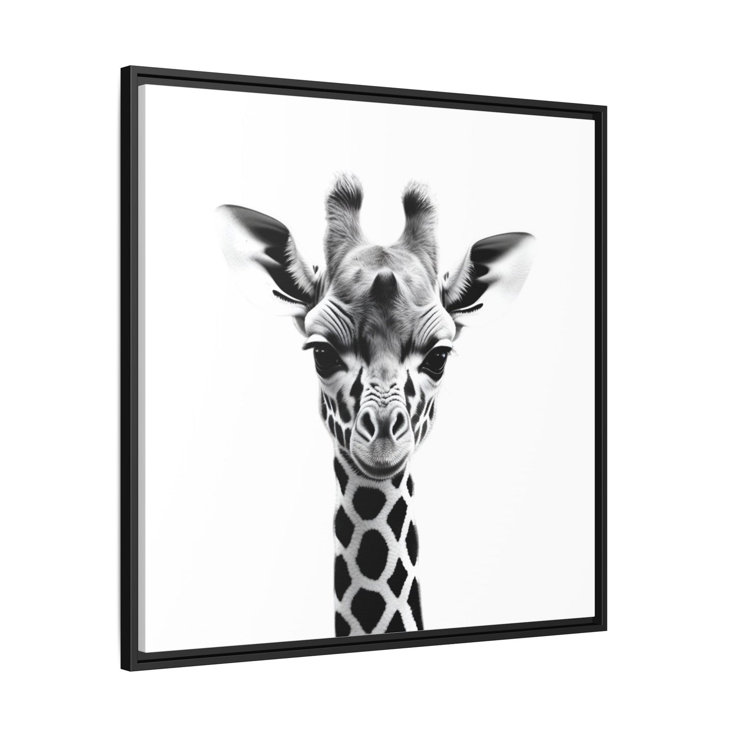 Baby Giraffe Wall Art Black & White Wildlife Photography Print, Cute Giraffe Lover Gift