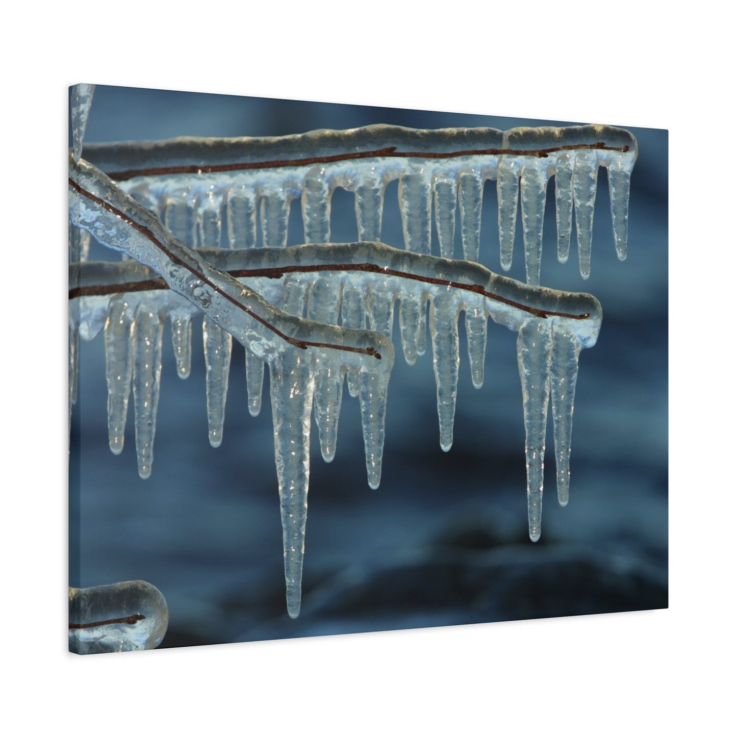 Icicles hanging from a branch against a dark blue background