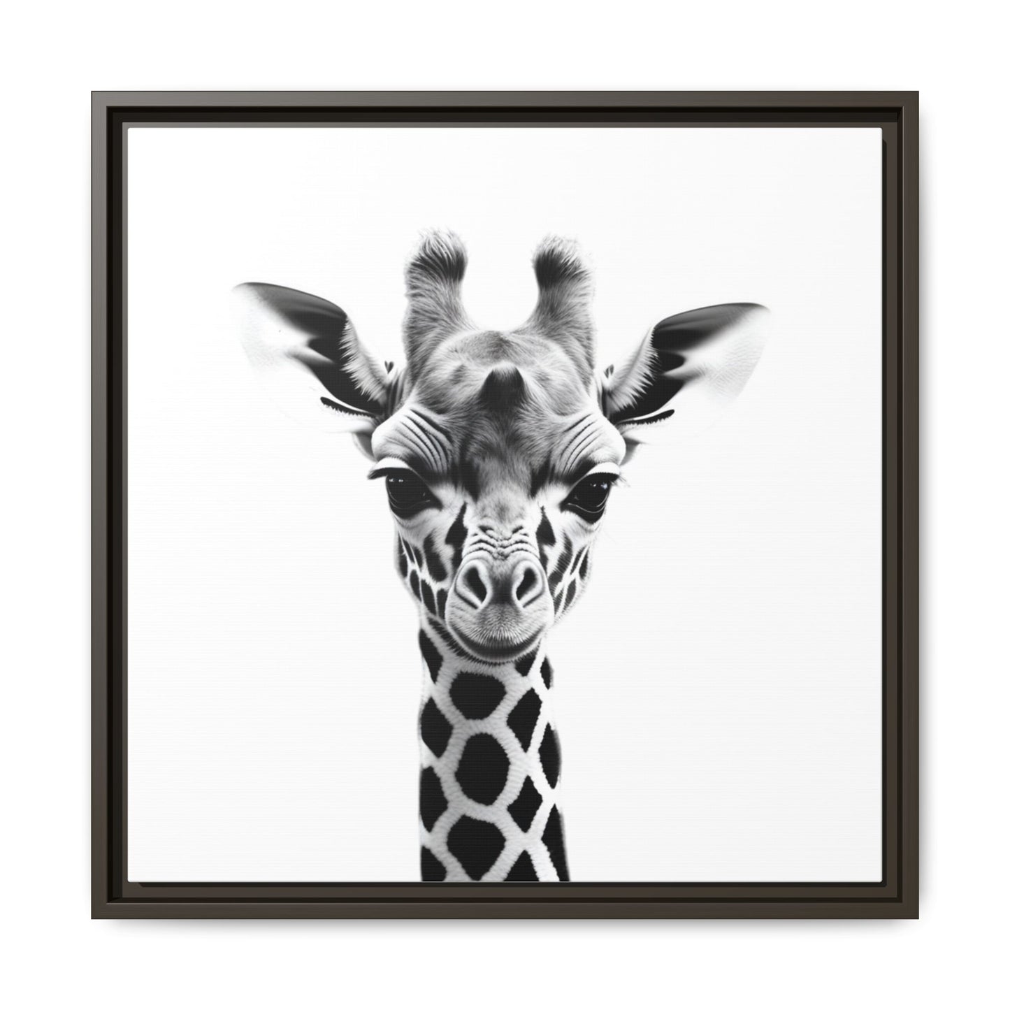Baby Giraffe Wall Art Black & White Wildlife Photography Print, Cute Giraffe Lover Gift